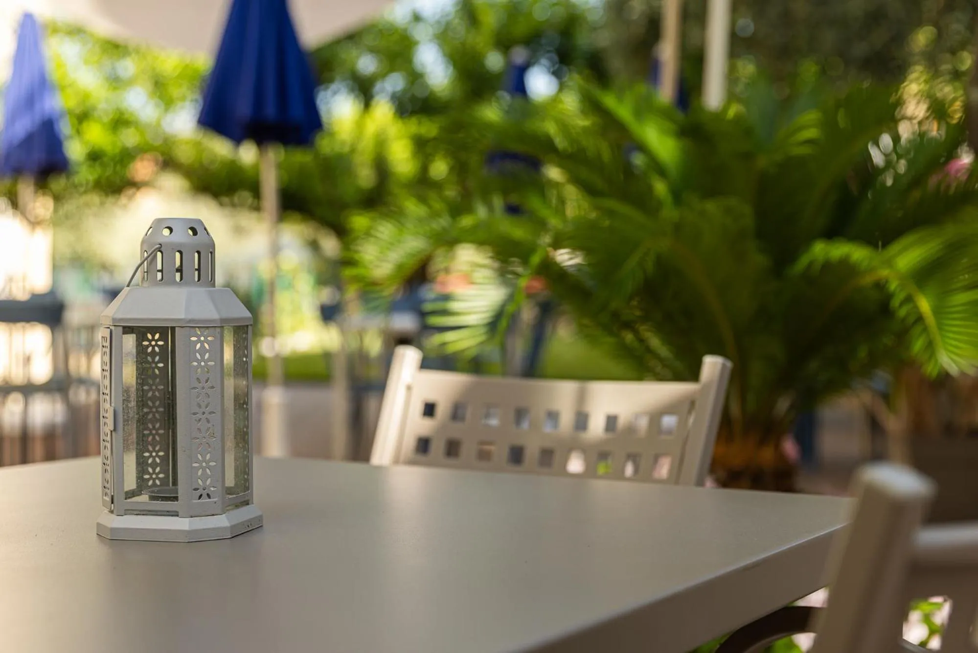 Garden in Hotel Villa Elisa & Spa