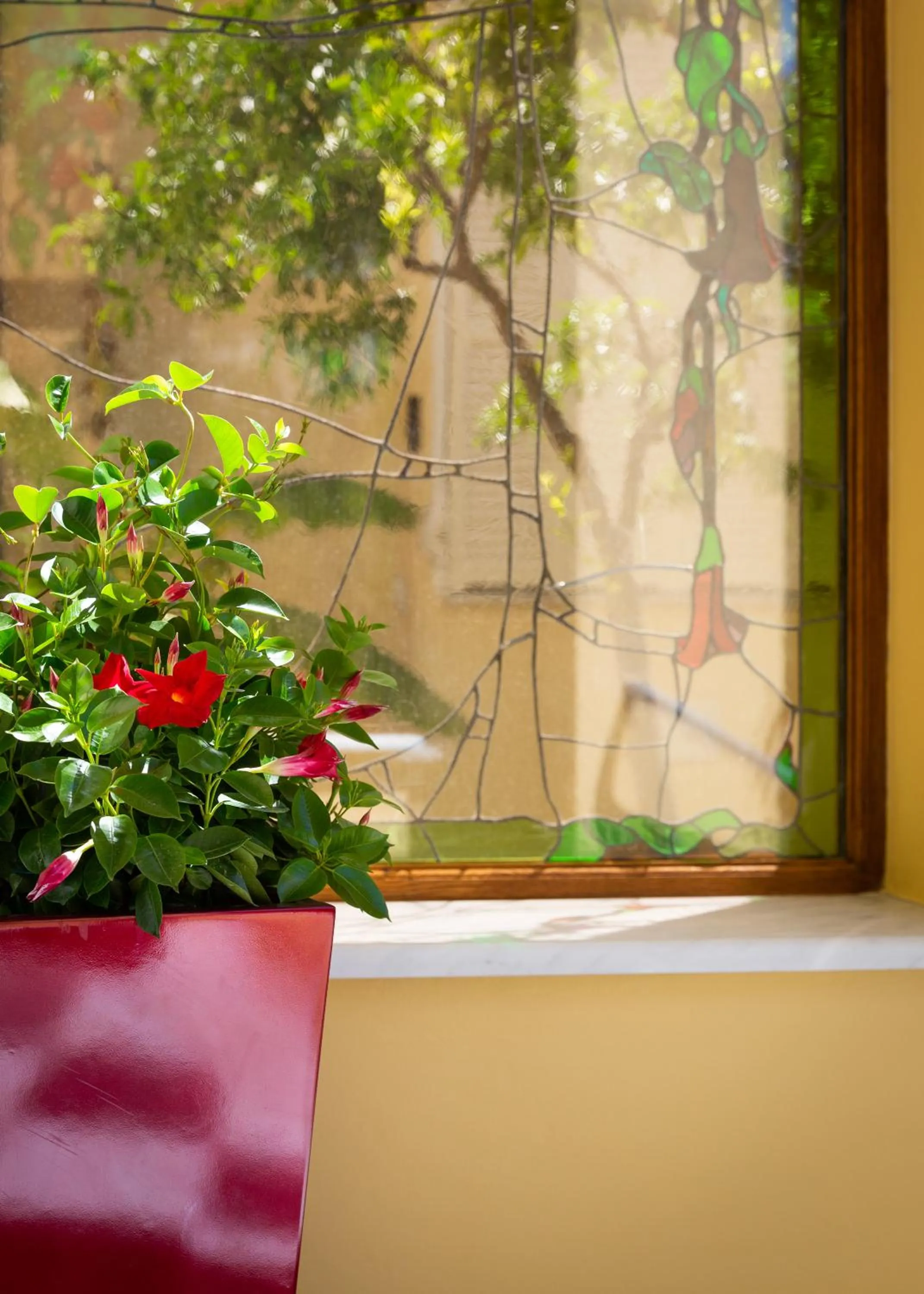 Facade/entrance in Hotel Villa Elisa & Spa