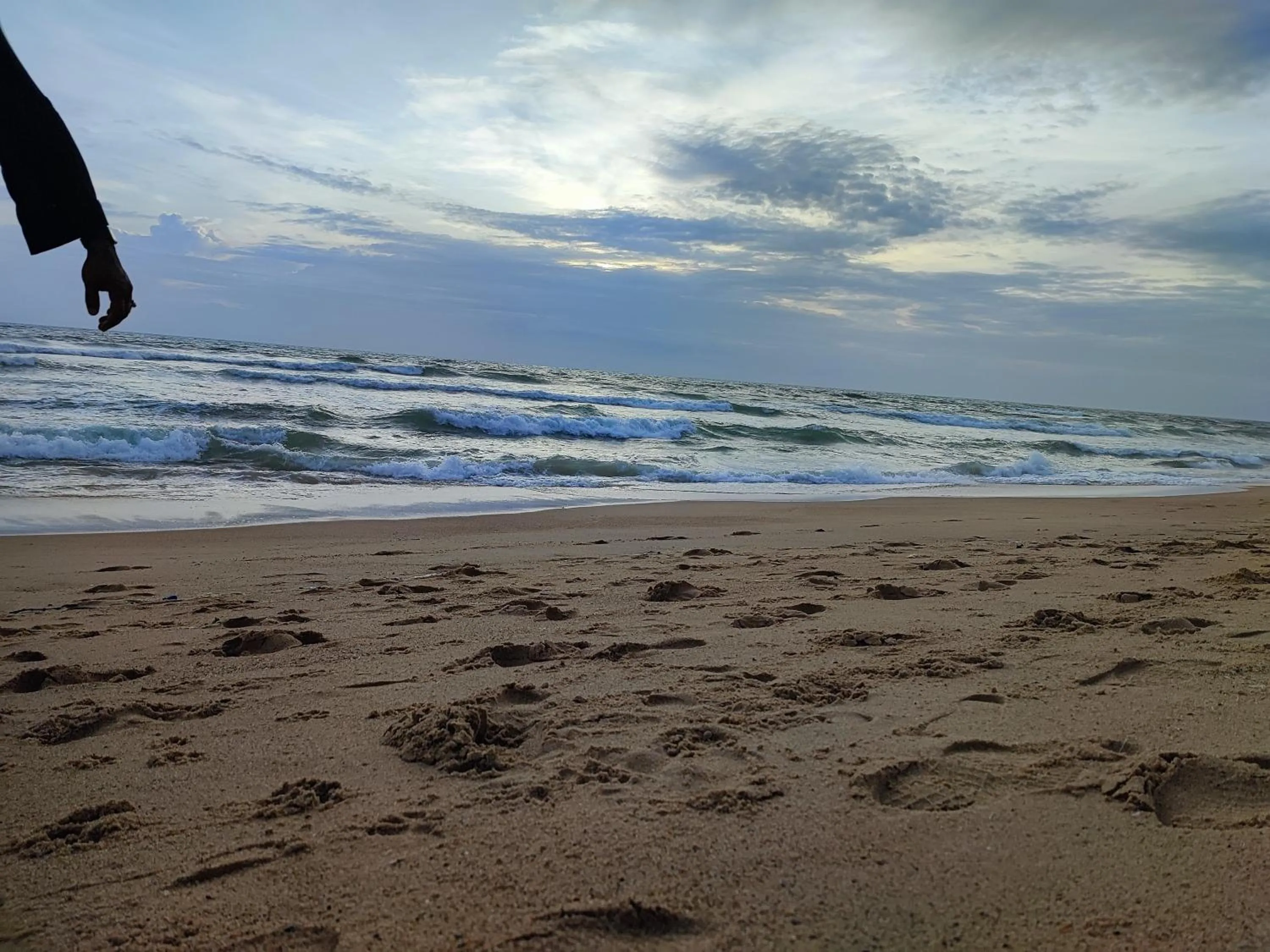 Natural landscape in Hotel Candolim Aloft