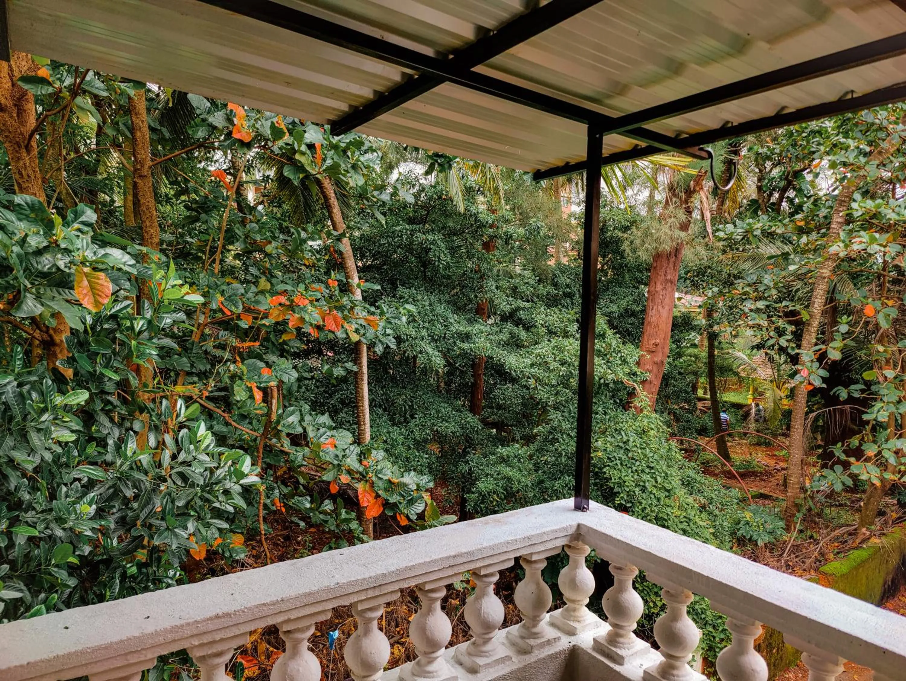 Balcony/Terrace in Hotel Candolim Aloft