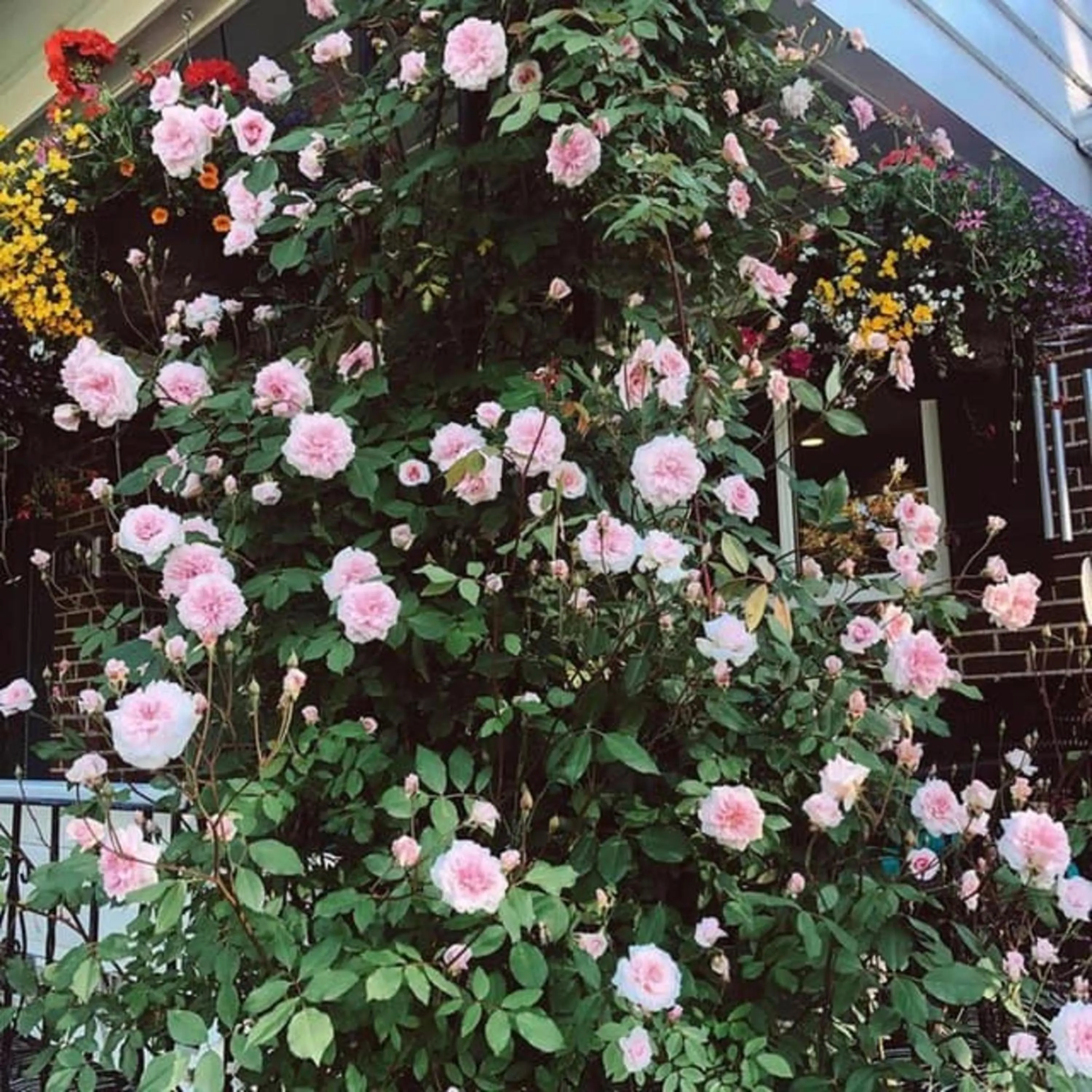 Day in Moc Nhien Hostel Da Lat