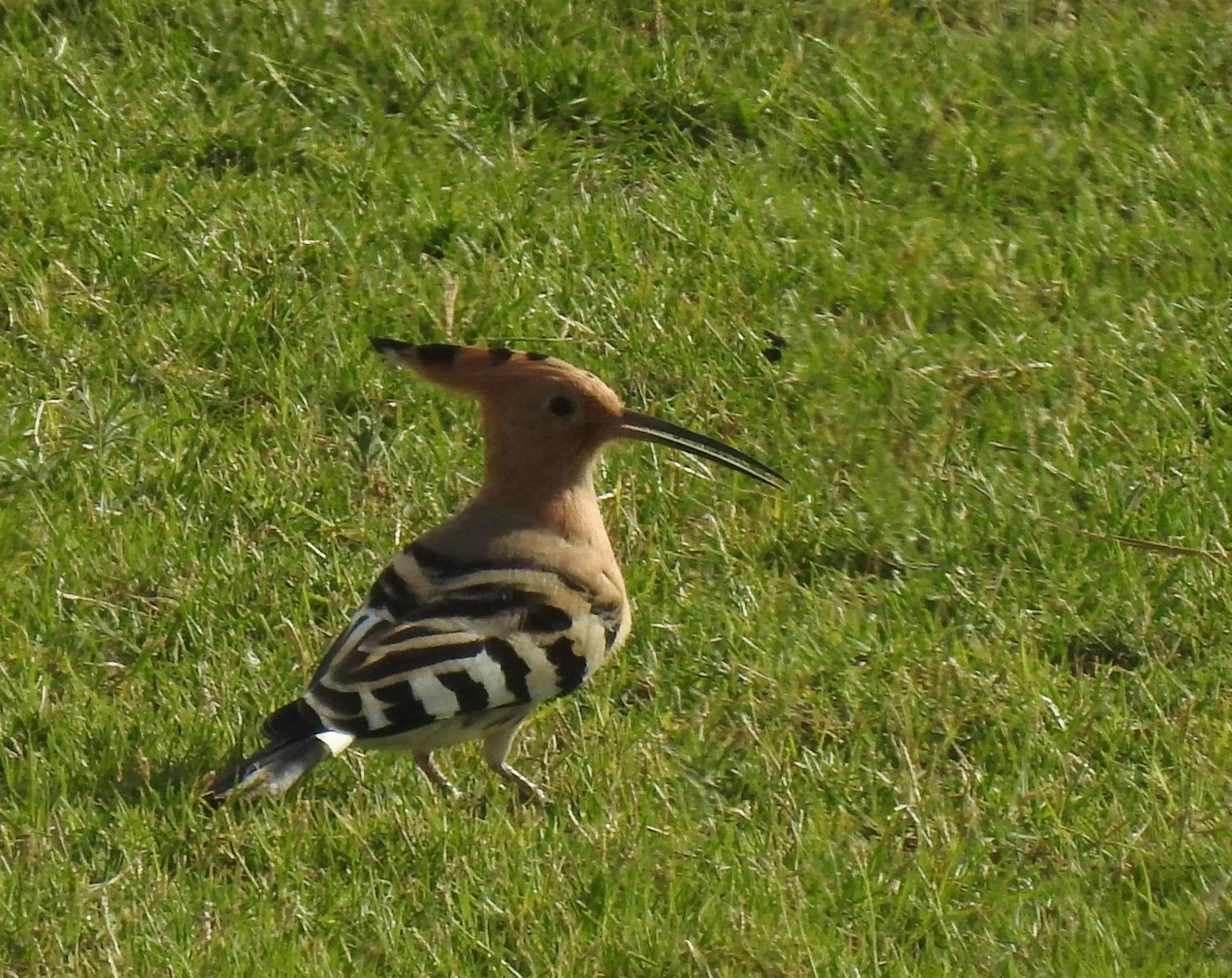 Natural landscape in Villa Aries - Rural Chic Experience