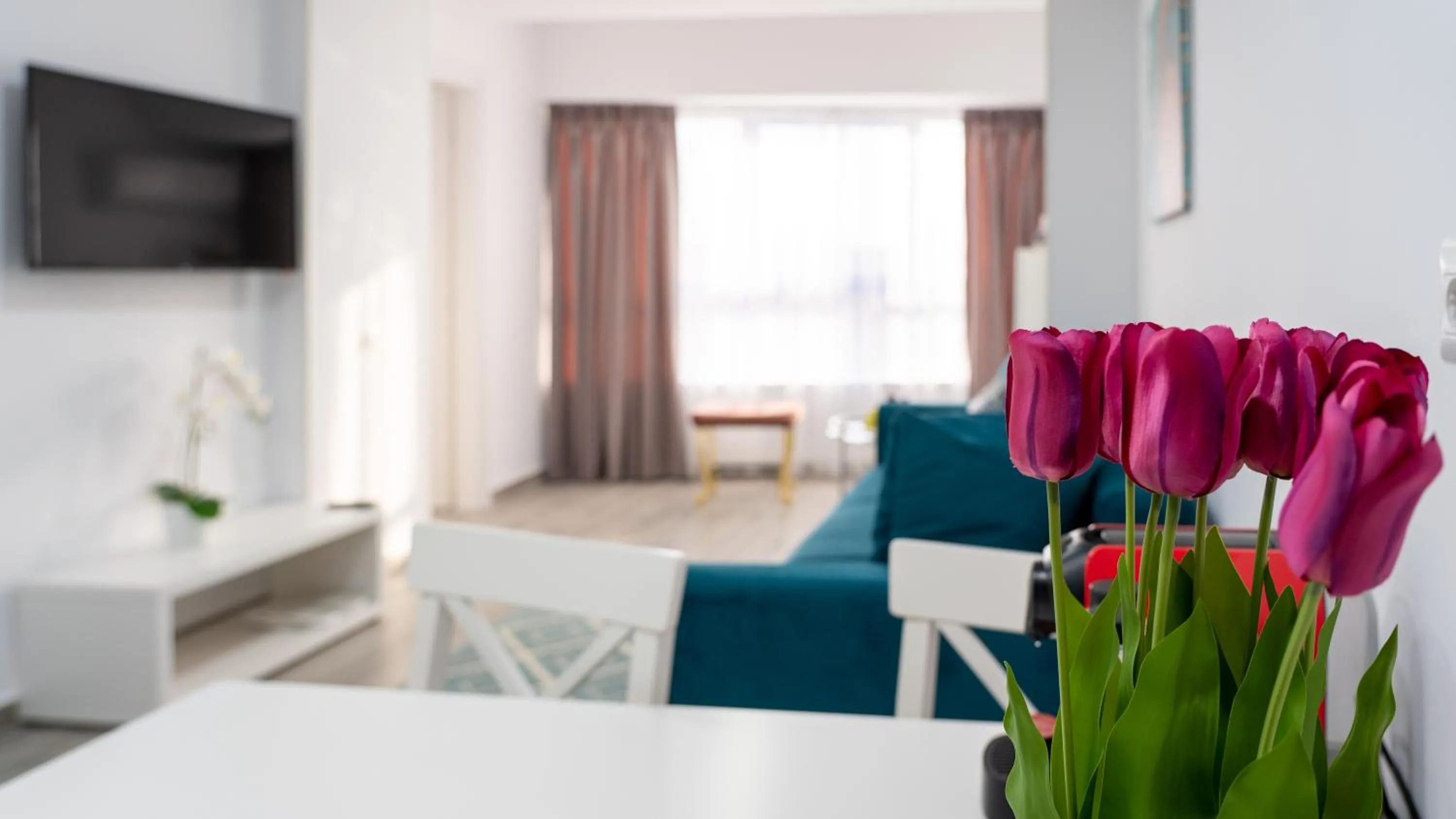 TV and multimedia in Sea View Apartments Olimp - Avenue Hotels