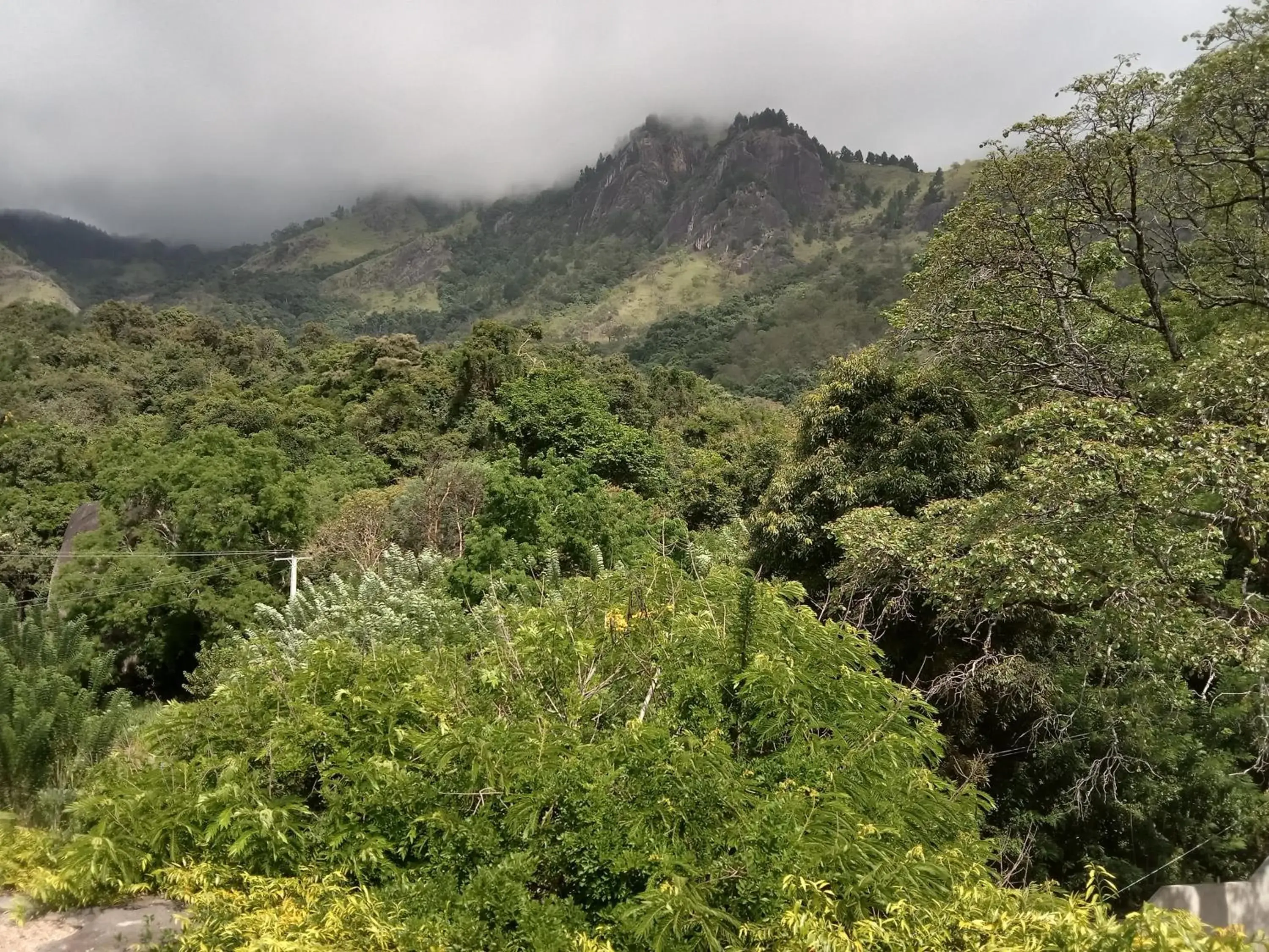 Natural landscape in Moi Ella by DBI Natural landscape in Moi Ella by DBI