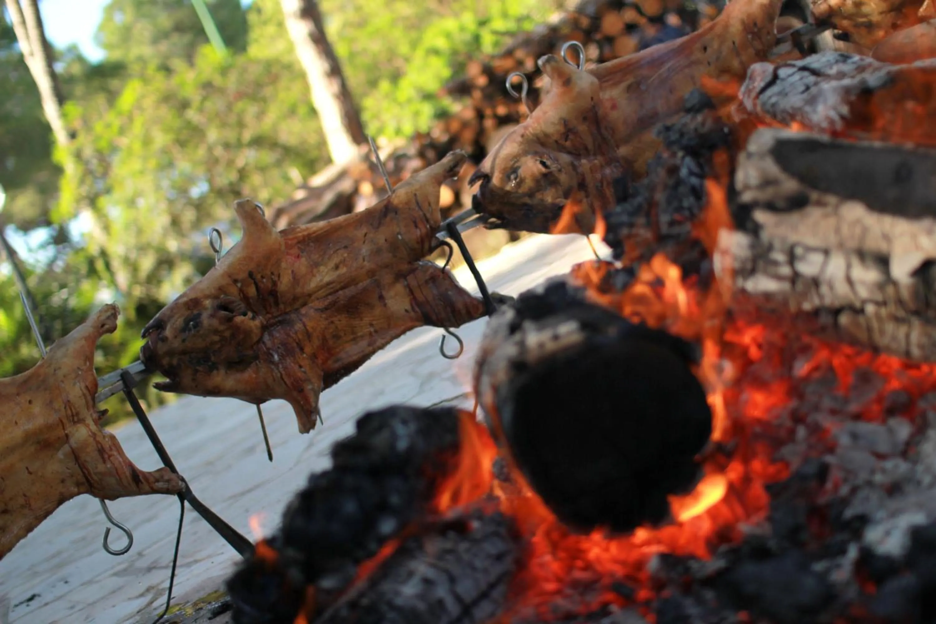 Dinner in Hotel Punta Negra