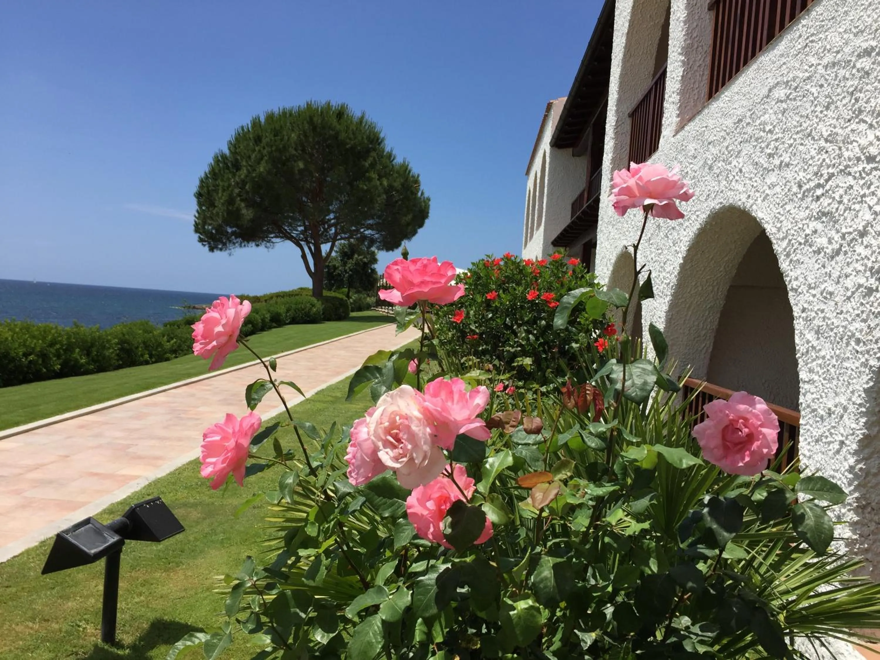 Garden in Hotel Punta Negra