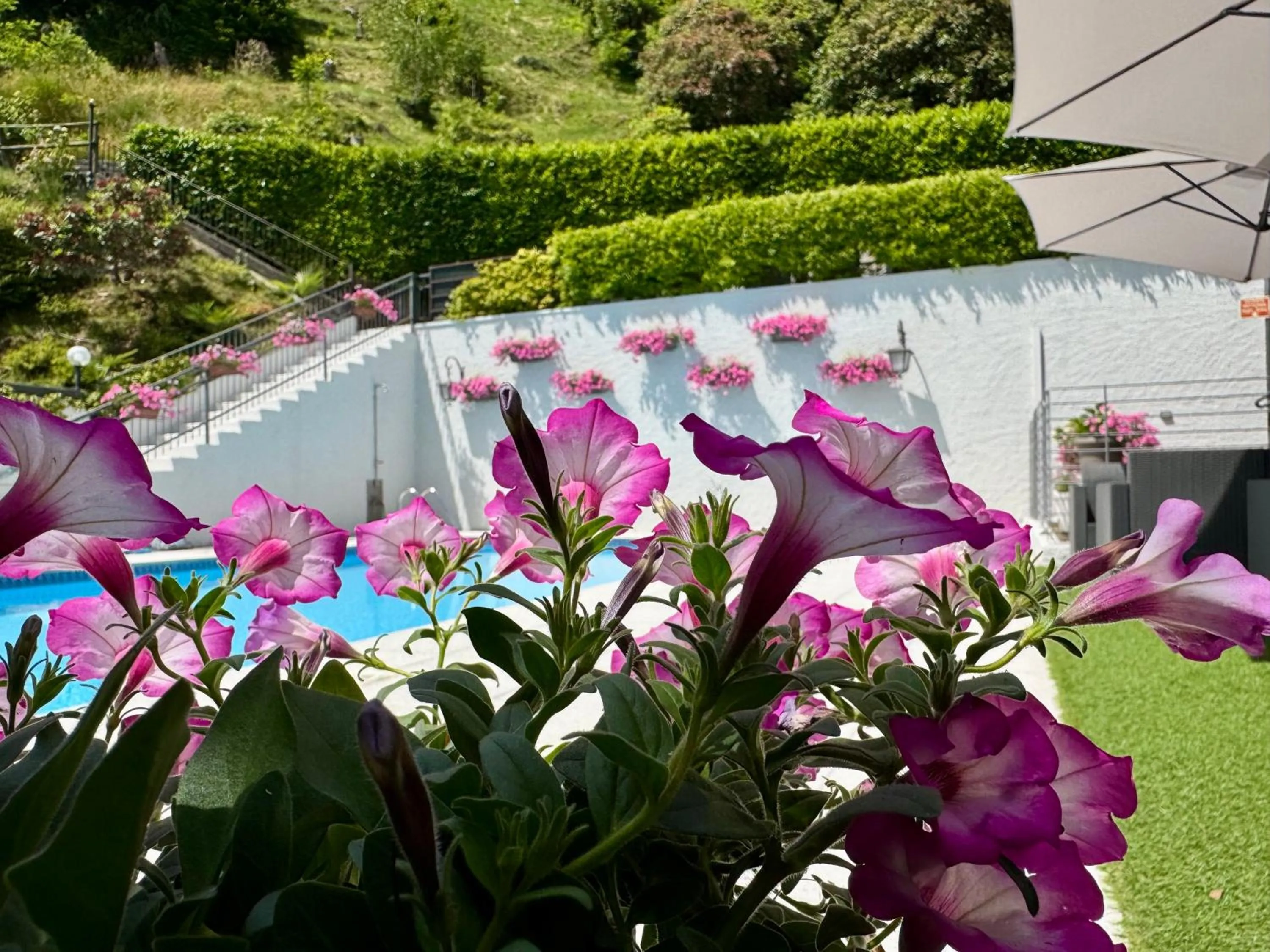 Garden in Lo Scoiattolo