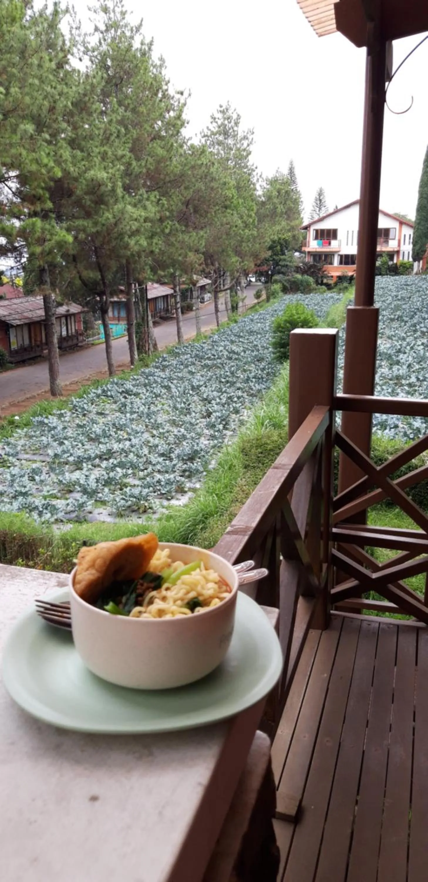 Garden view in Villa Elisabeth at Villa Istana Bunga