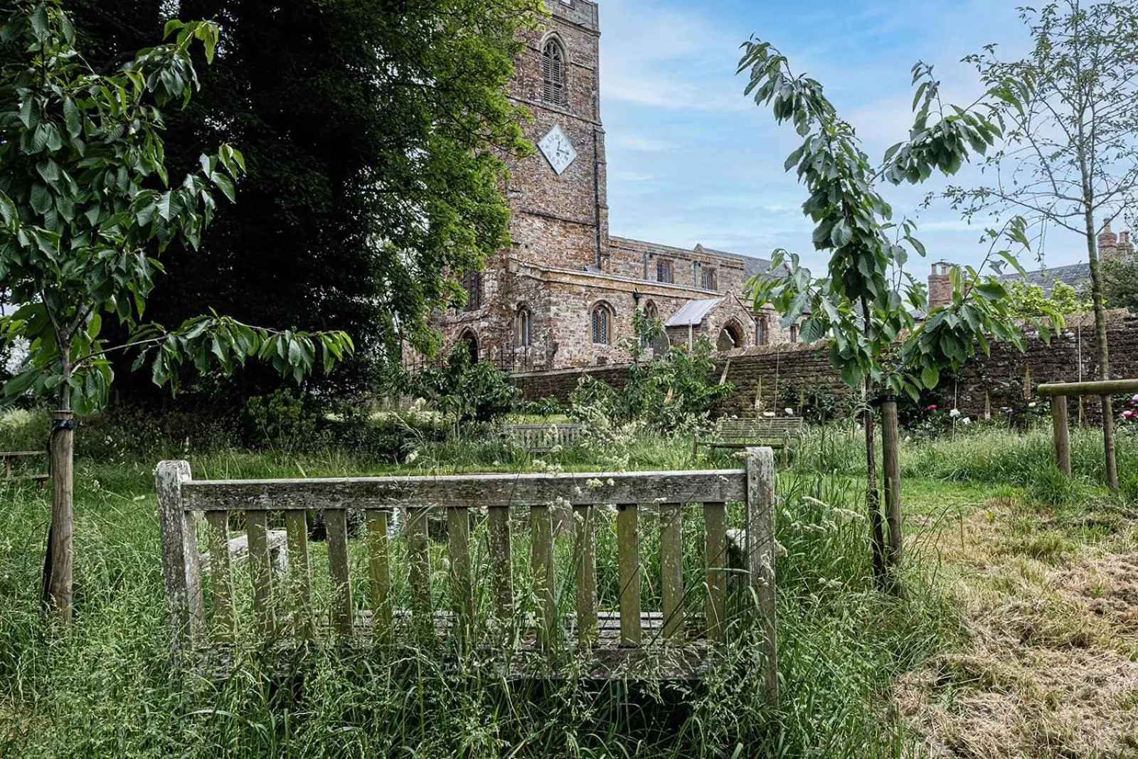 Natural landscape in Deerpark Barn