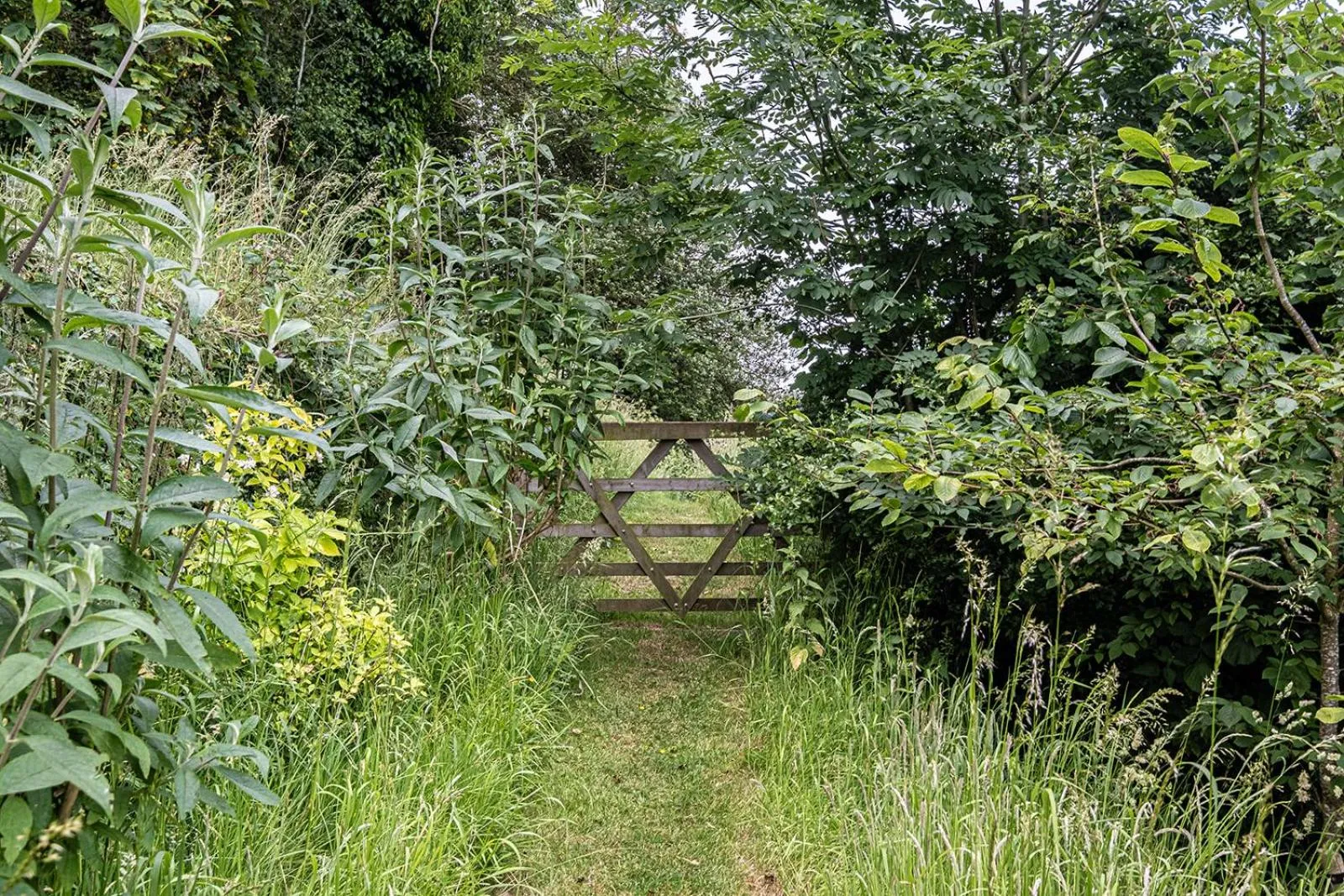 Natural landscape in Deerpark Barn