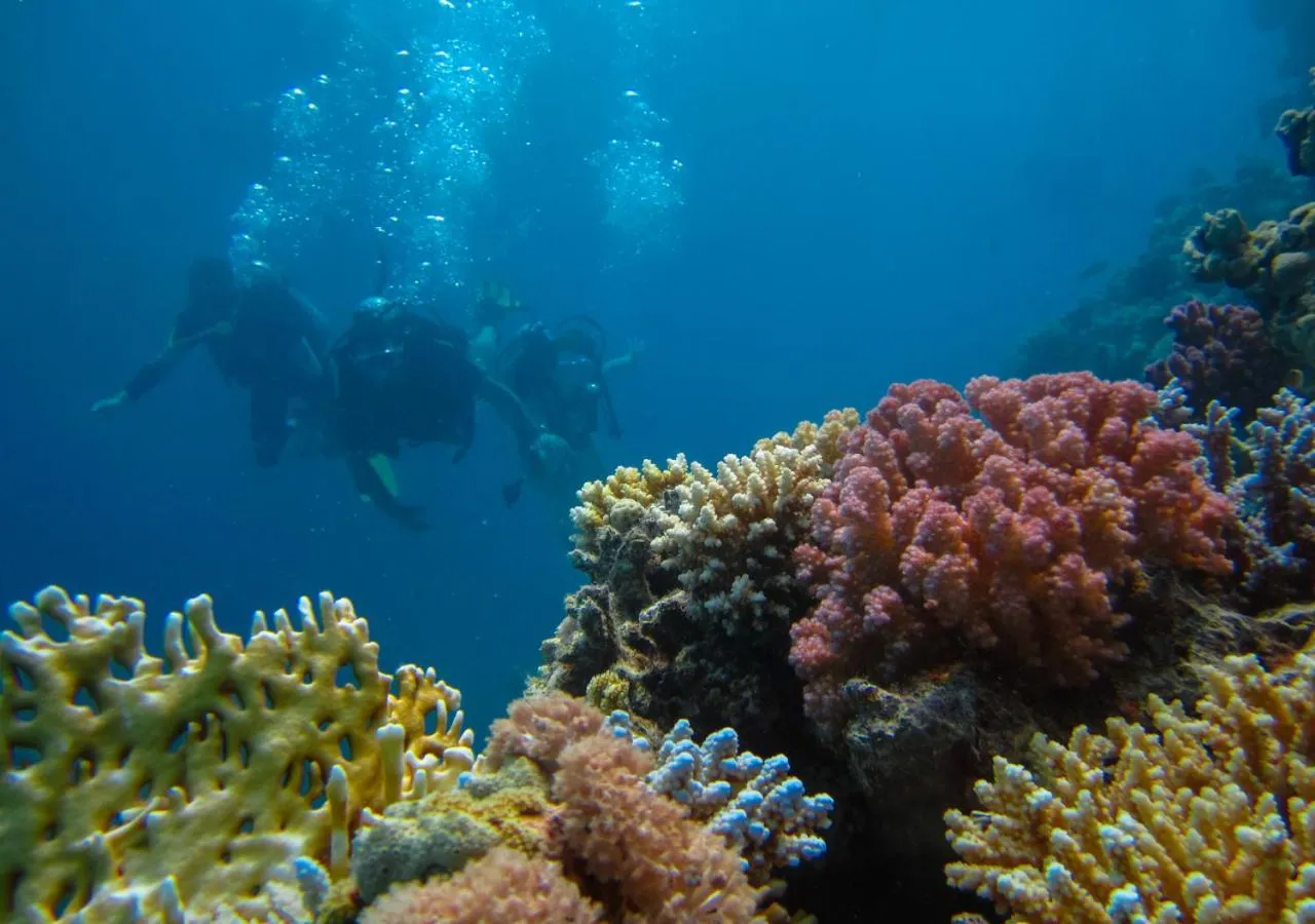 Diving in Melio Hotel Eilat