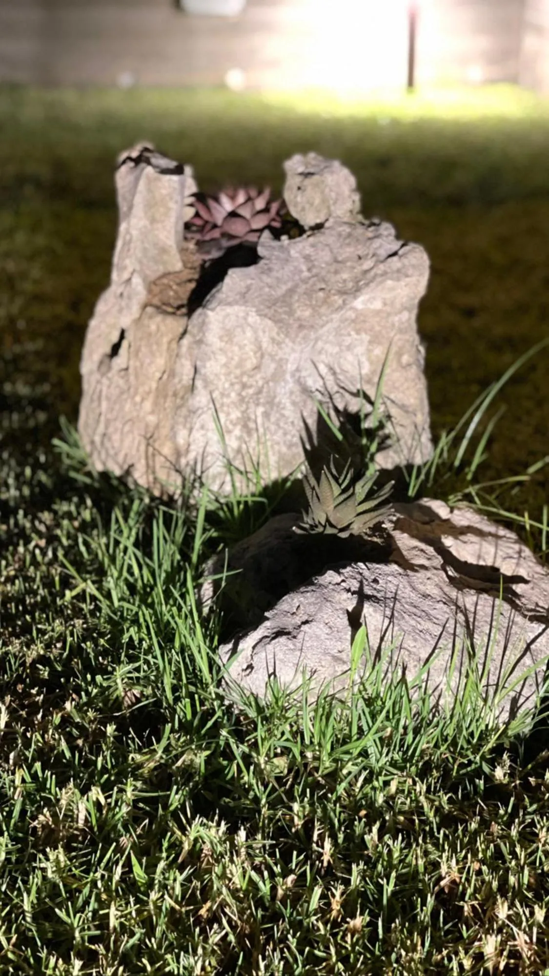 Natural landscape in B&B Melissa