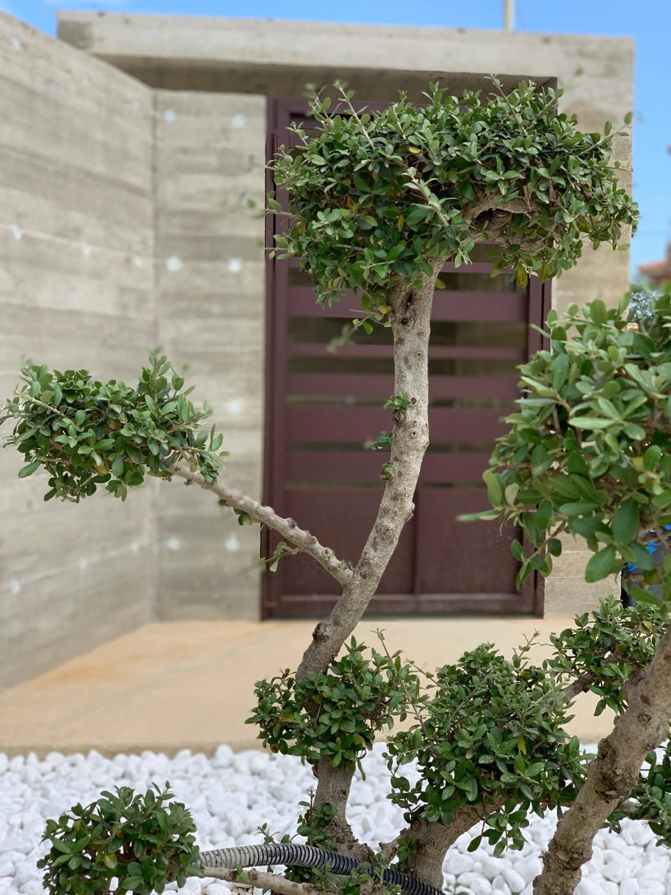 Spring in B&B Melissa