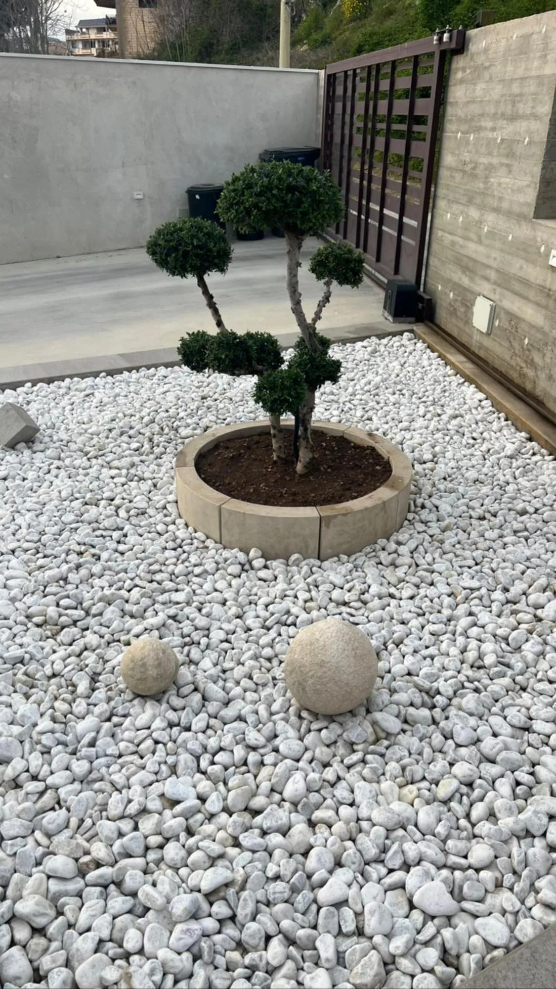 Garden view in B&B Melissa