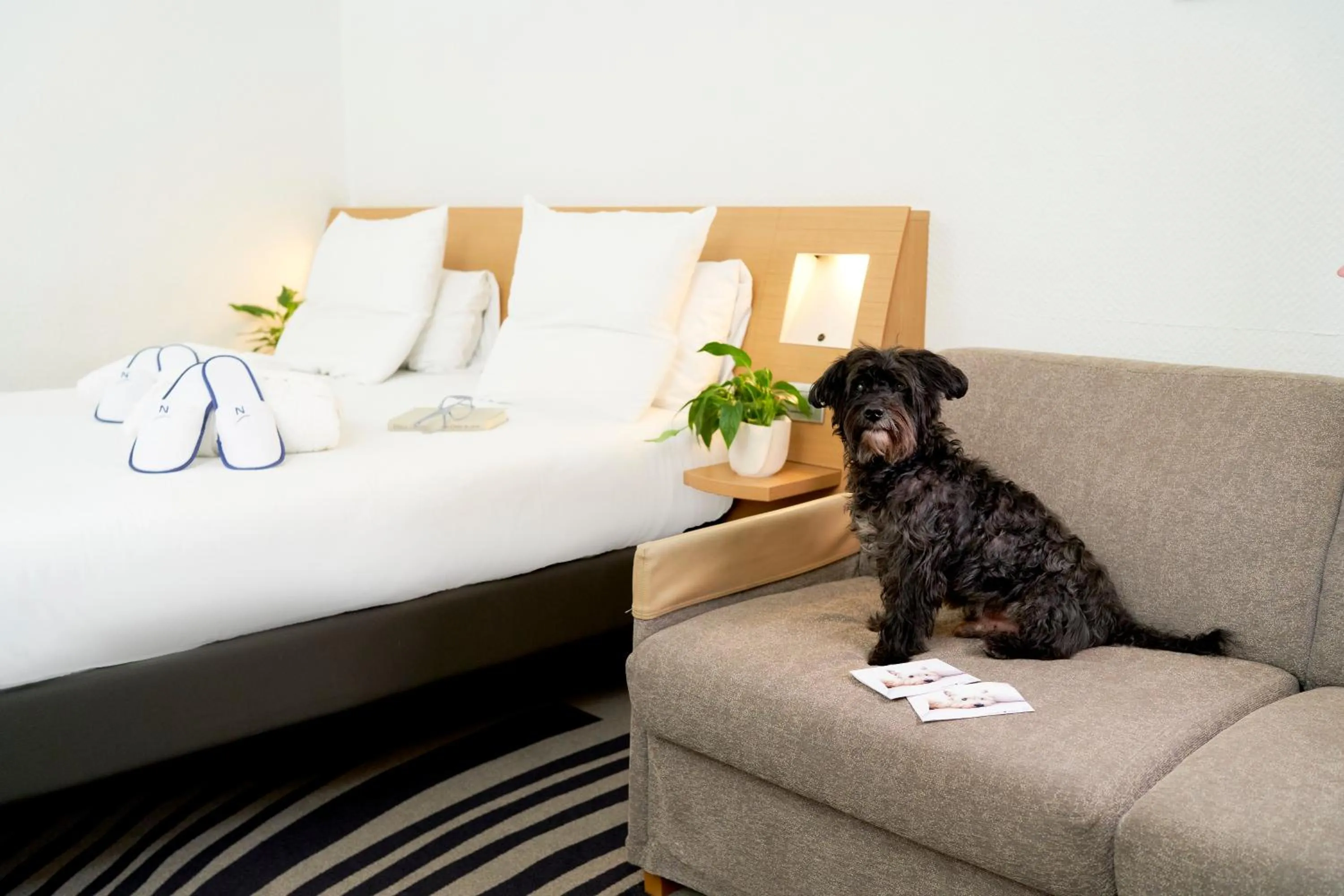 Pets in Novotel Milano Nord Ca' Granda