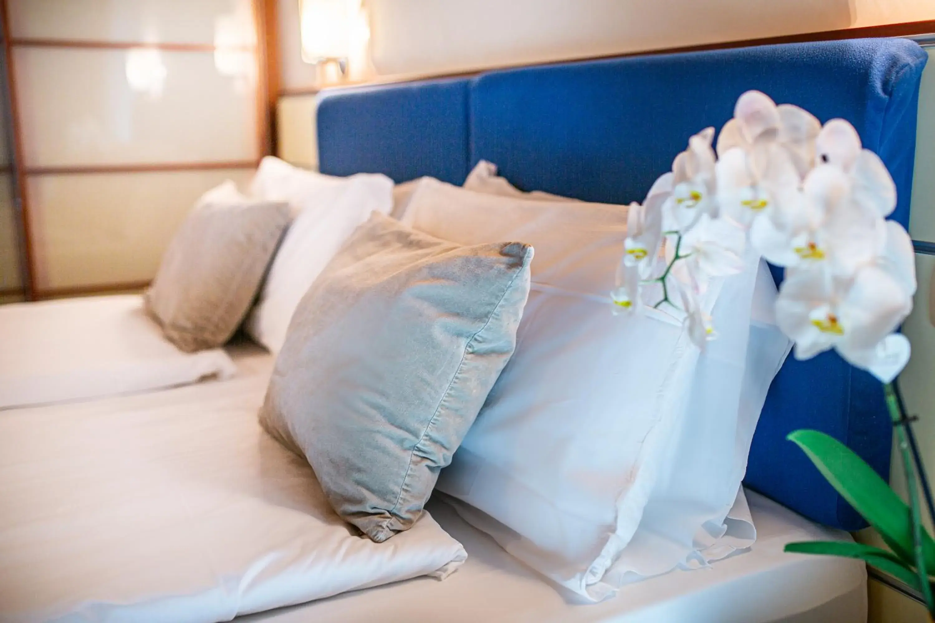 Property building, Bed in Park Hotel Property building, Bed in Park Hotel