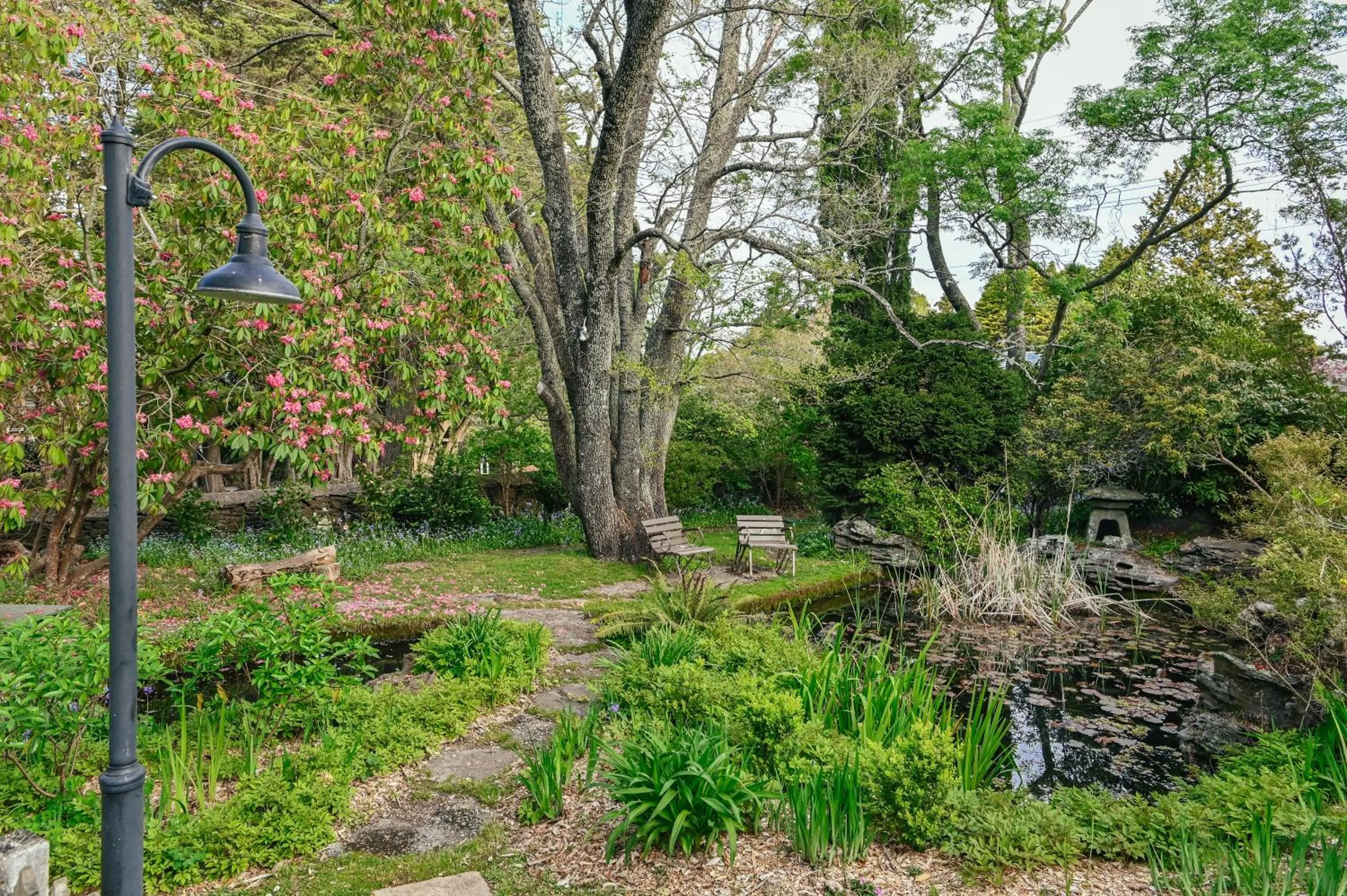Garden in Leura Gardens Resort