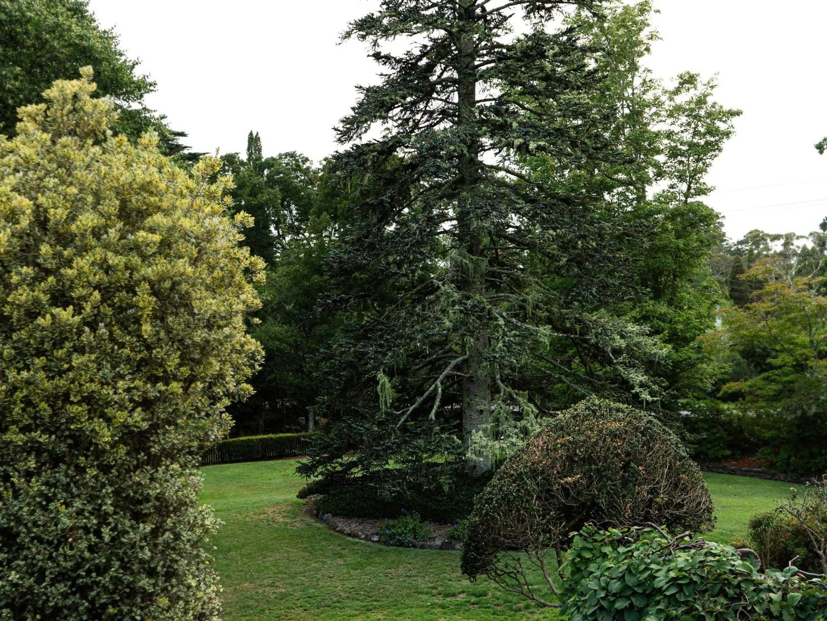 Restaurant/places to eat in Comfort Resort Leura Gardens