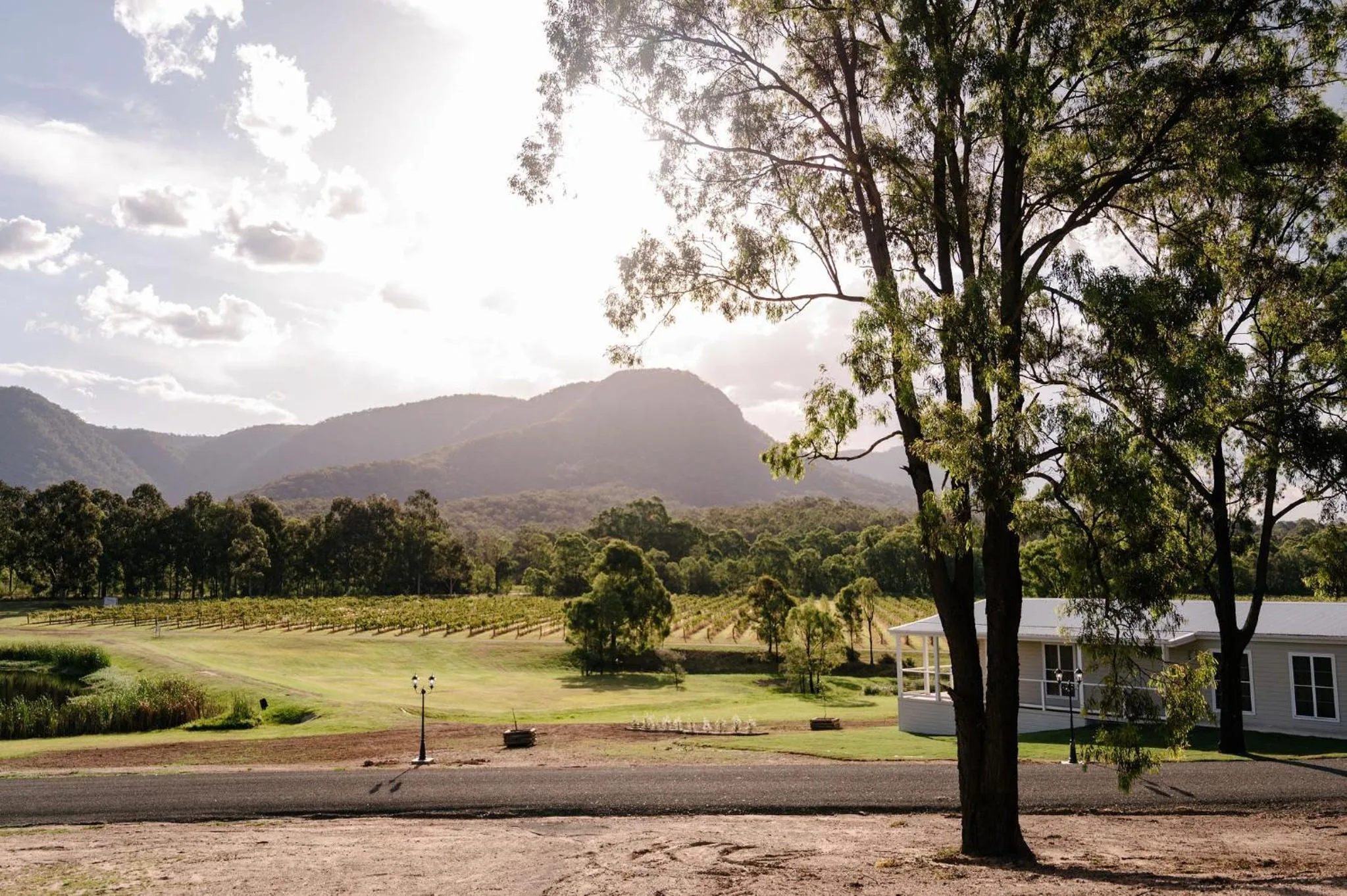 Natural landscape in Leogate Estate Villas