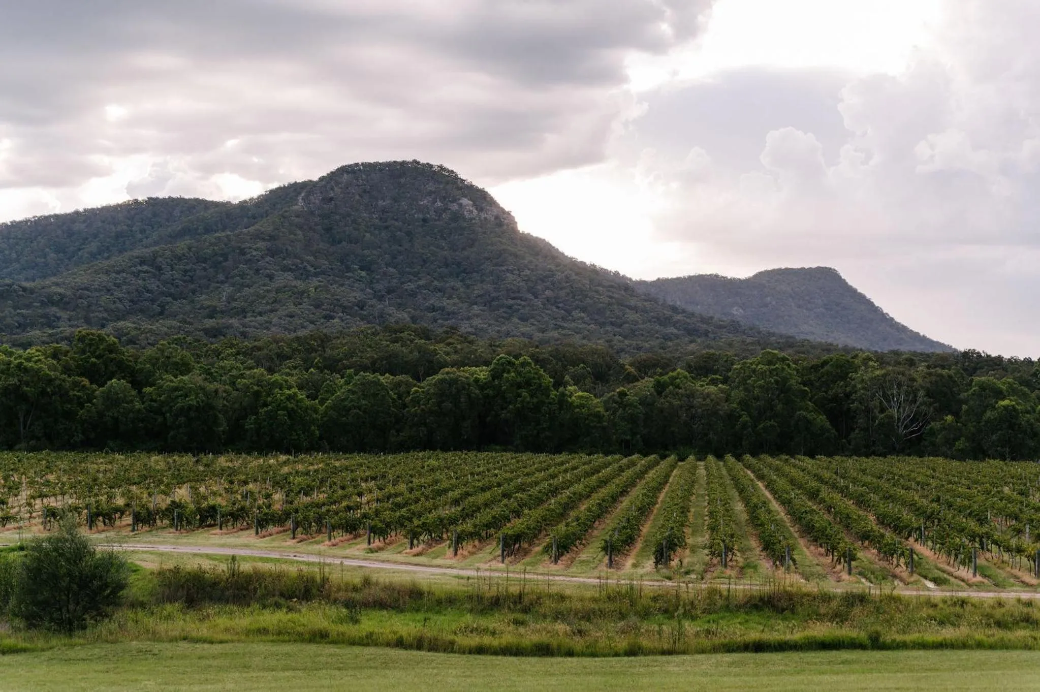 View (from property/room) in Leogate Estate Villas