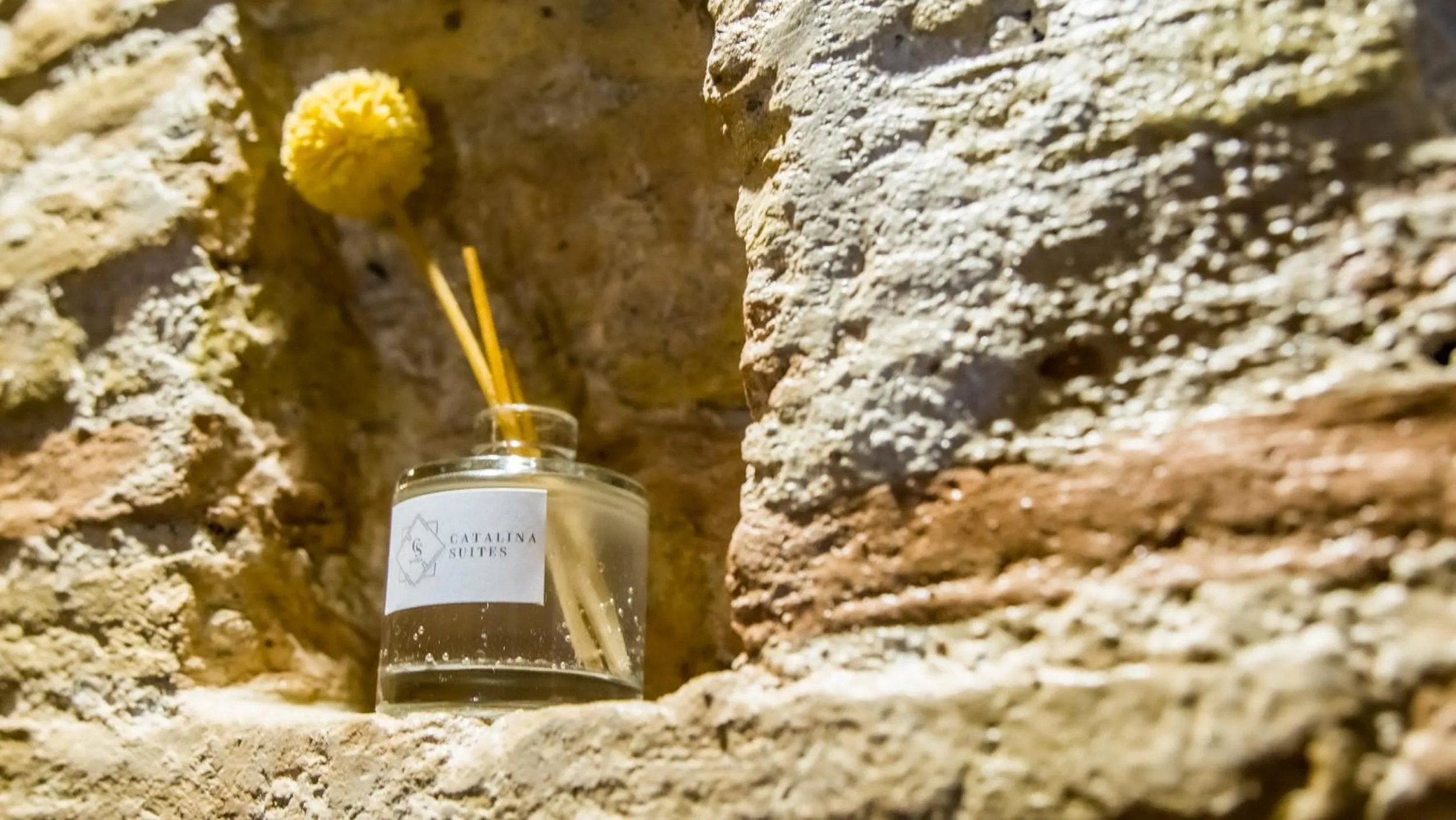 Area and facilities in Catalina Suites