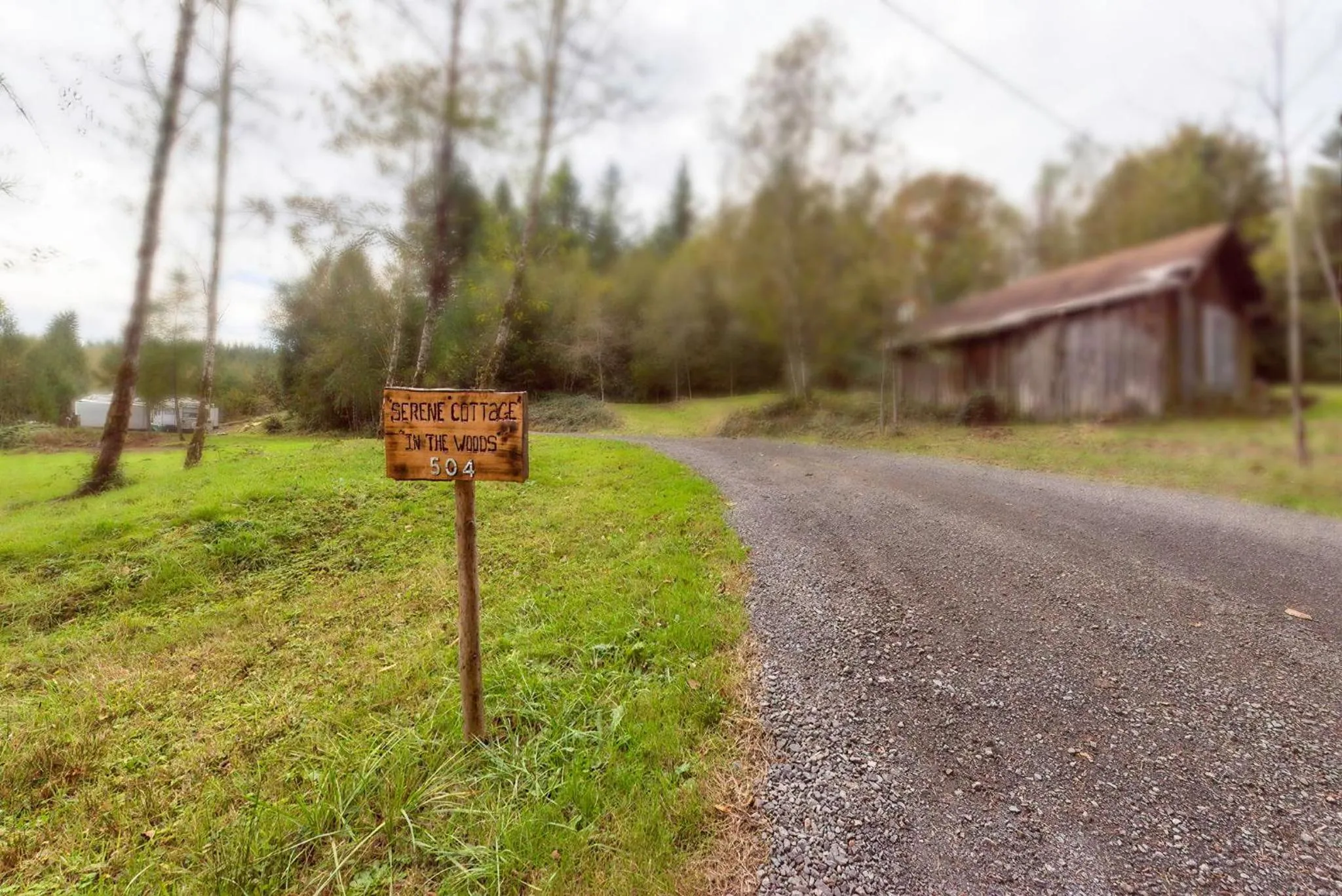 Street view in Serene Cottage in the Woods