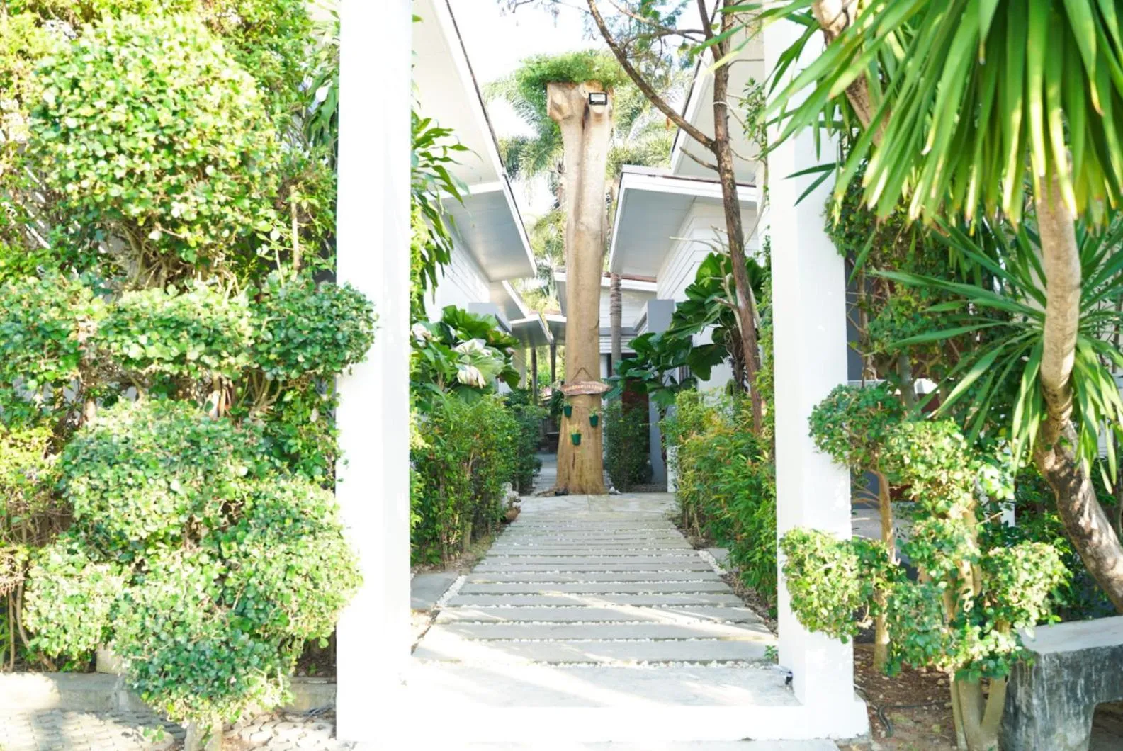 Garden in Purepamvillage