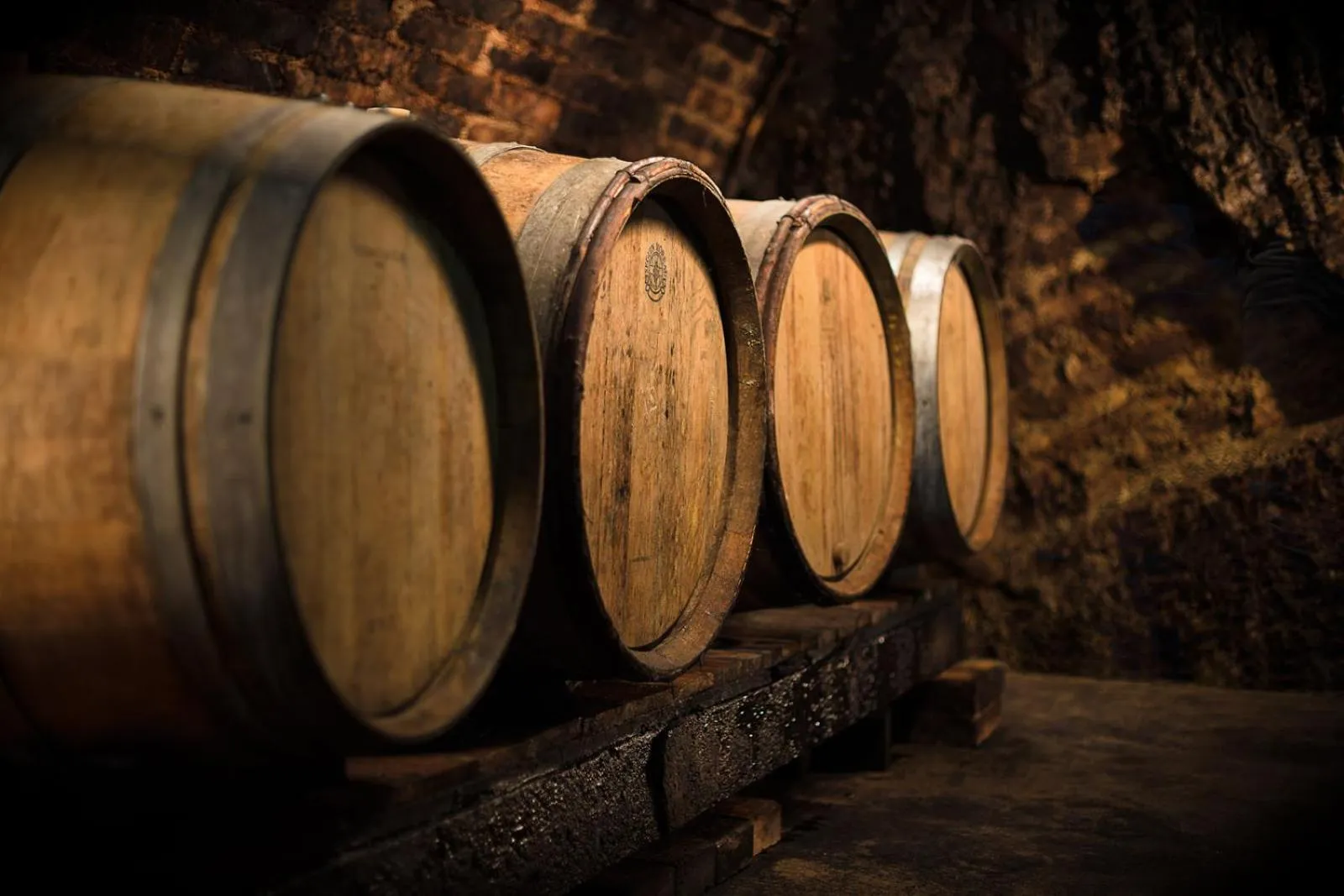 Alcoholic drinks in Penzion a vinařství U Vrbů