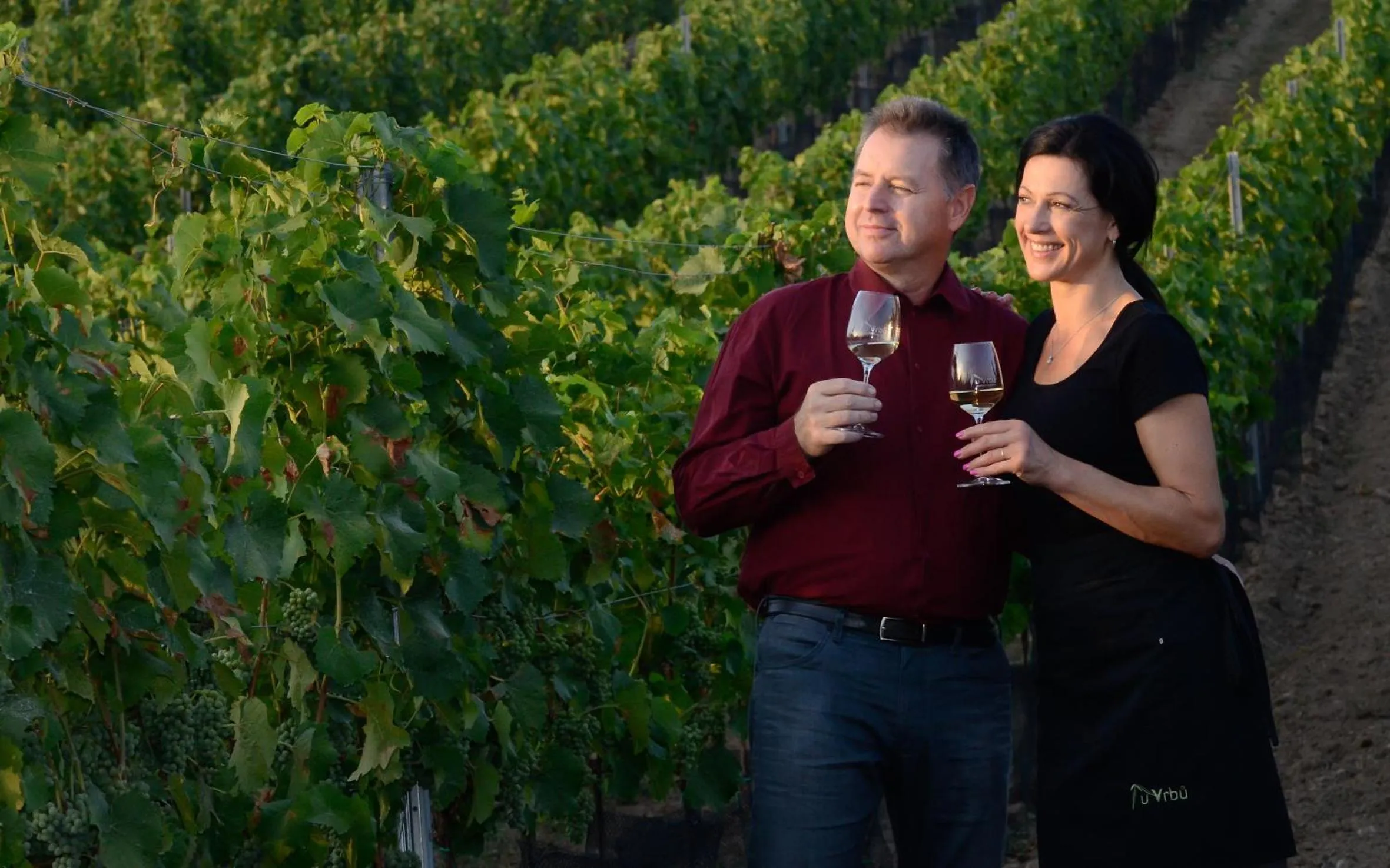 Staff in Penzion a vinařství U Vrbů