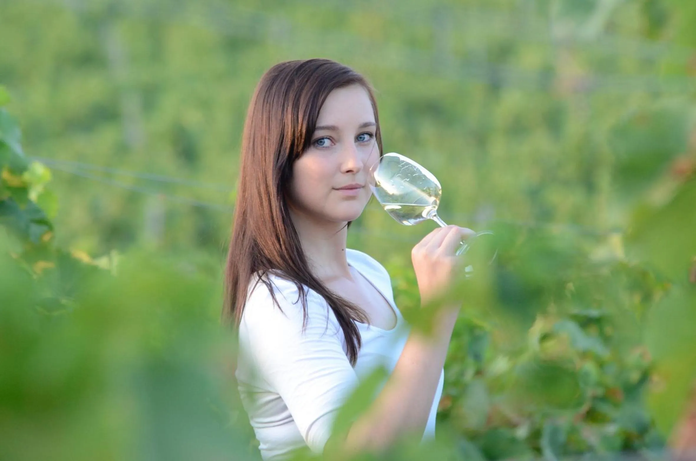 Staff in Penzion a vinařství U Vrbů