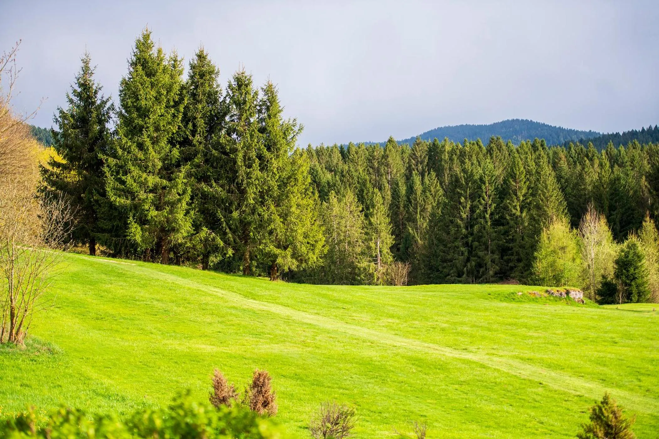 Natural landscape in Villa Bonomo Charme Hotel