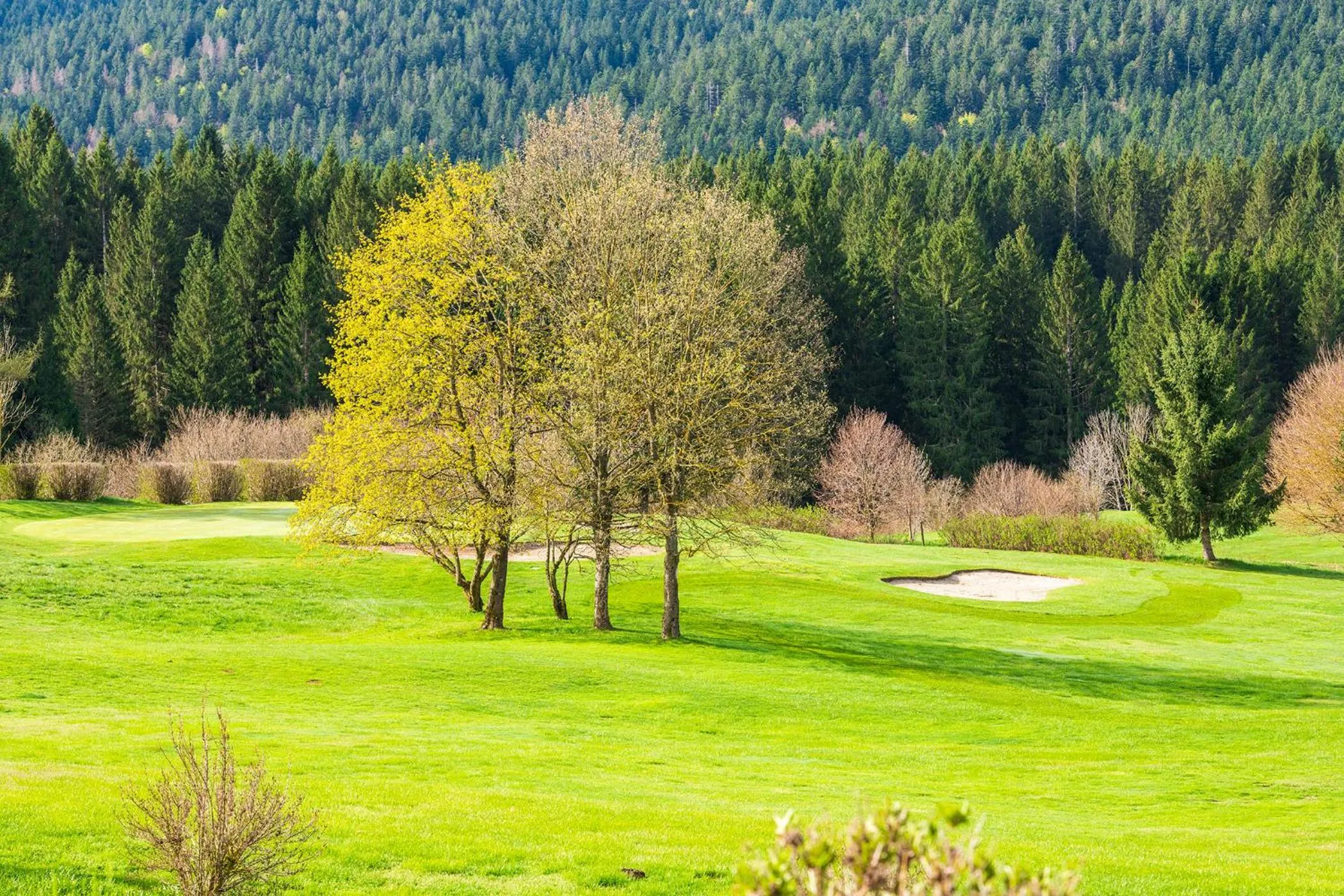 Natural landscape in Villa Bonomo Charme Hotel