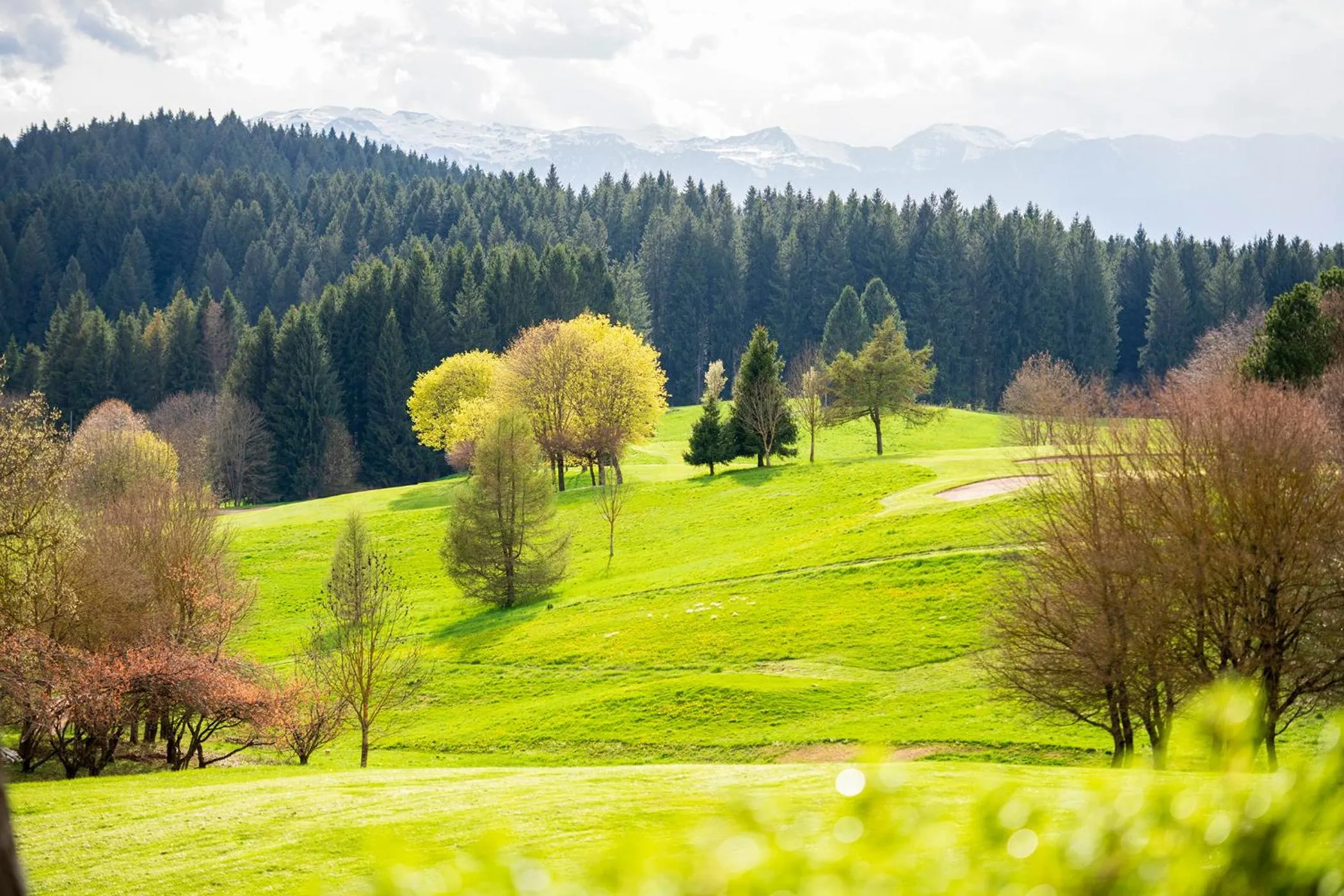 Natural landscape in Villa Bonomo Charme Hotel