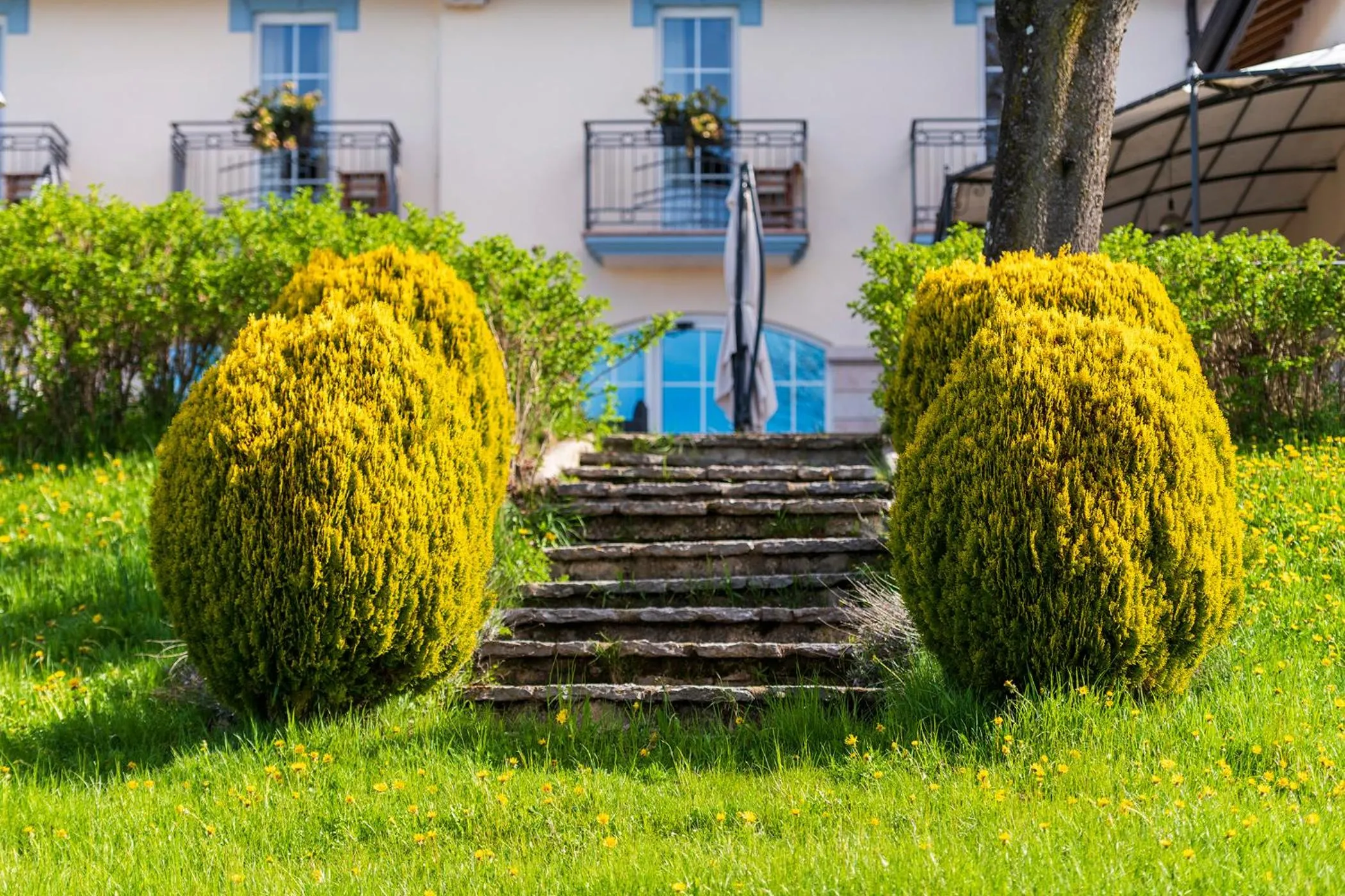Garden view in Villa Bonomo Charme Hotel
