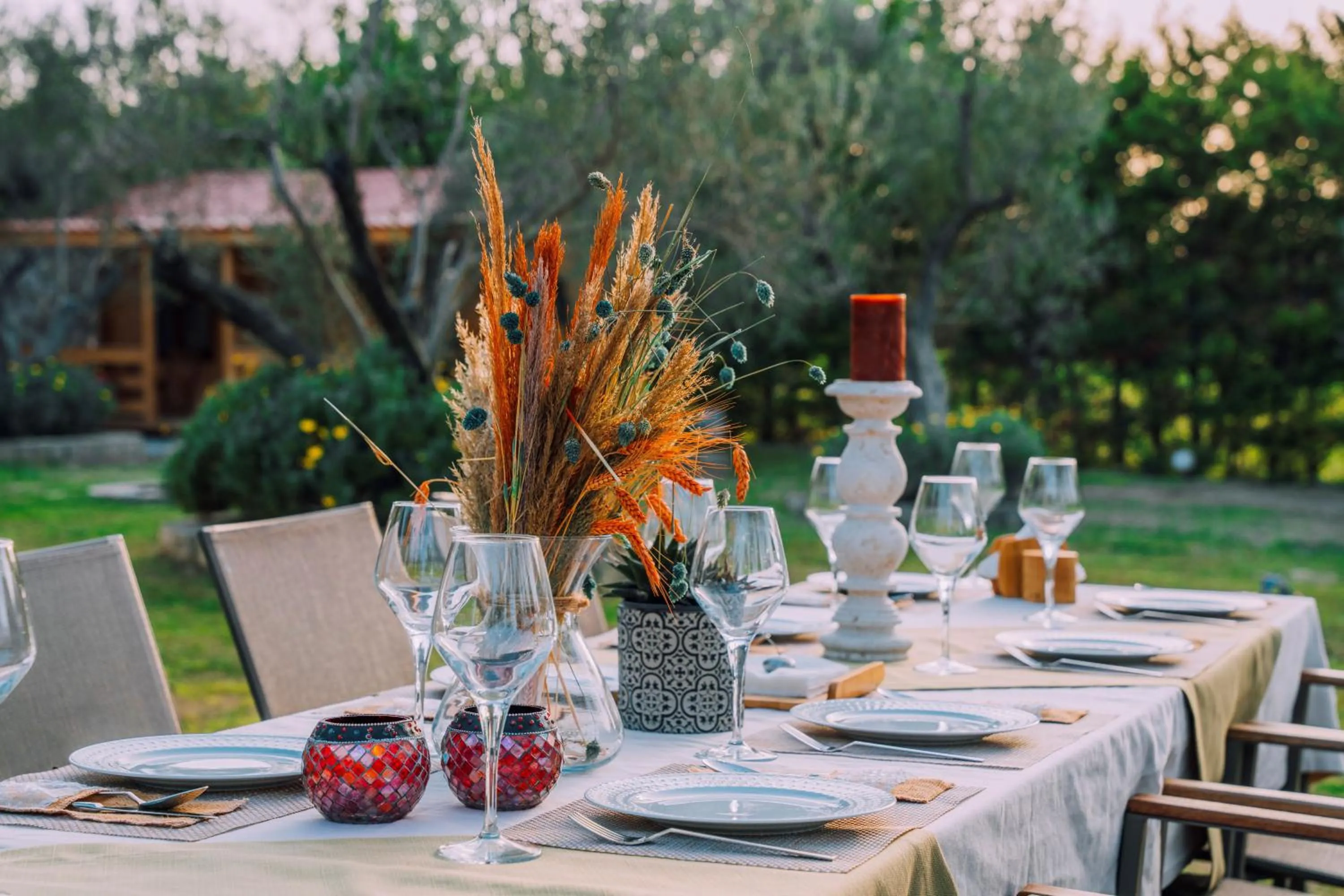 Restaurant/places to eat in Bir Dem Urla