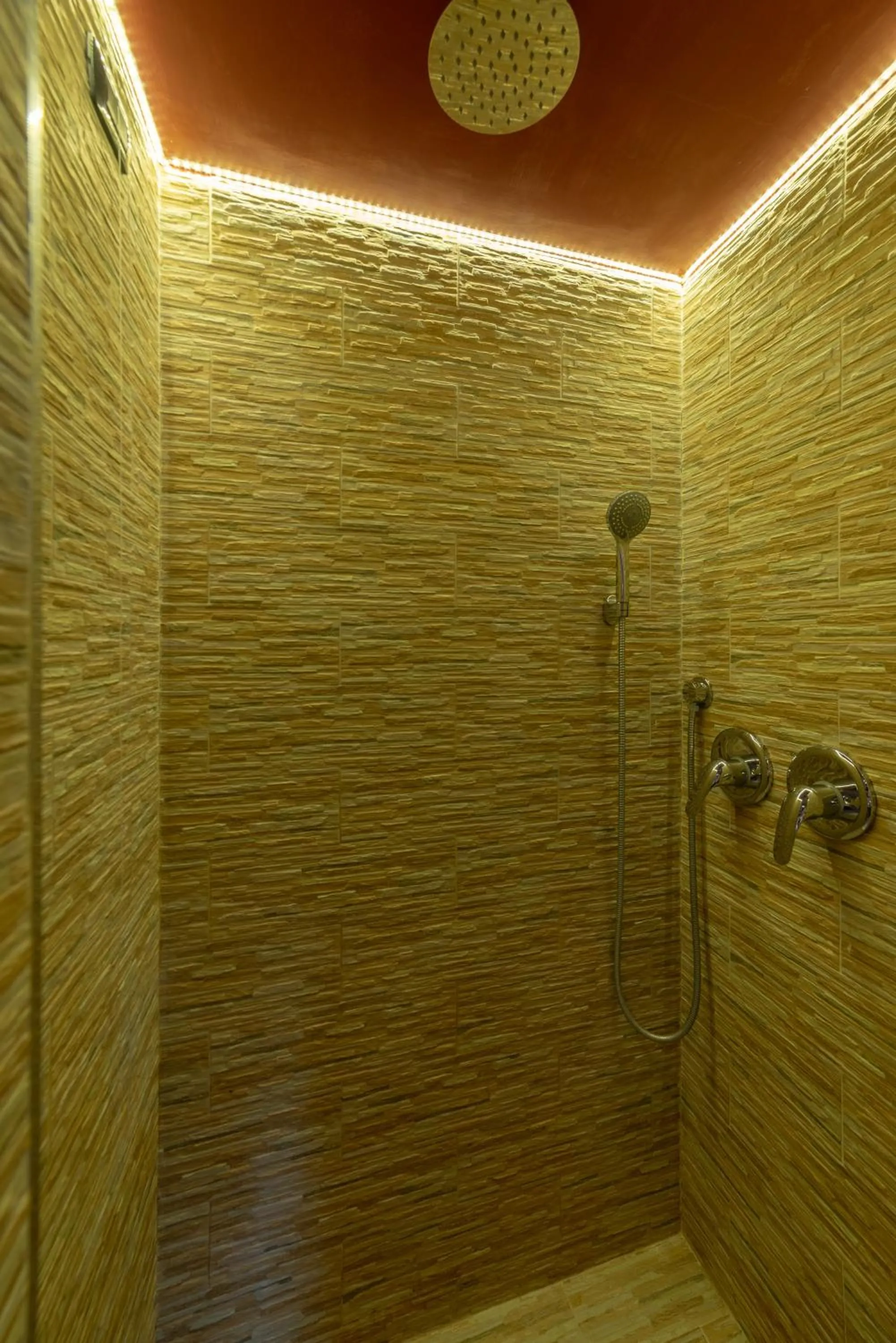 Shower in Aurora Rooms