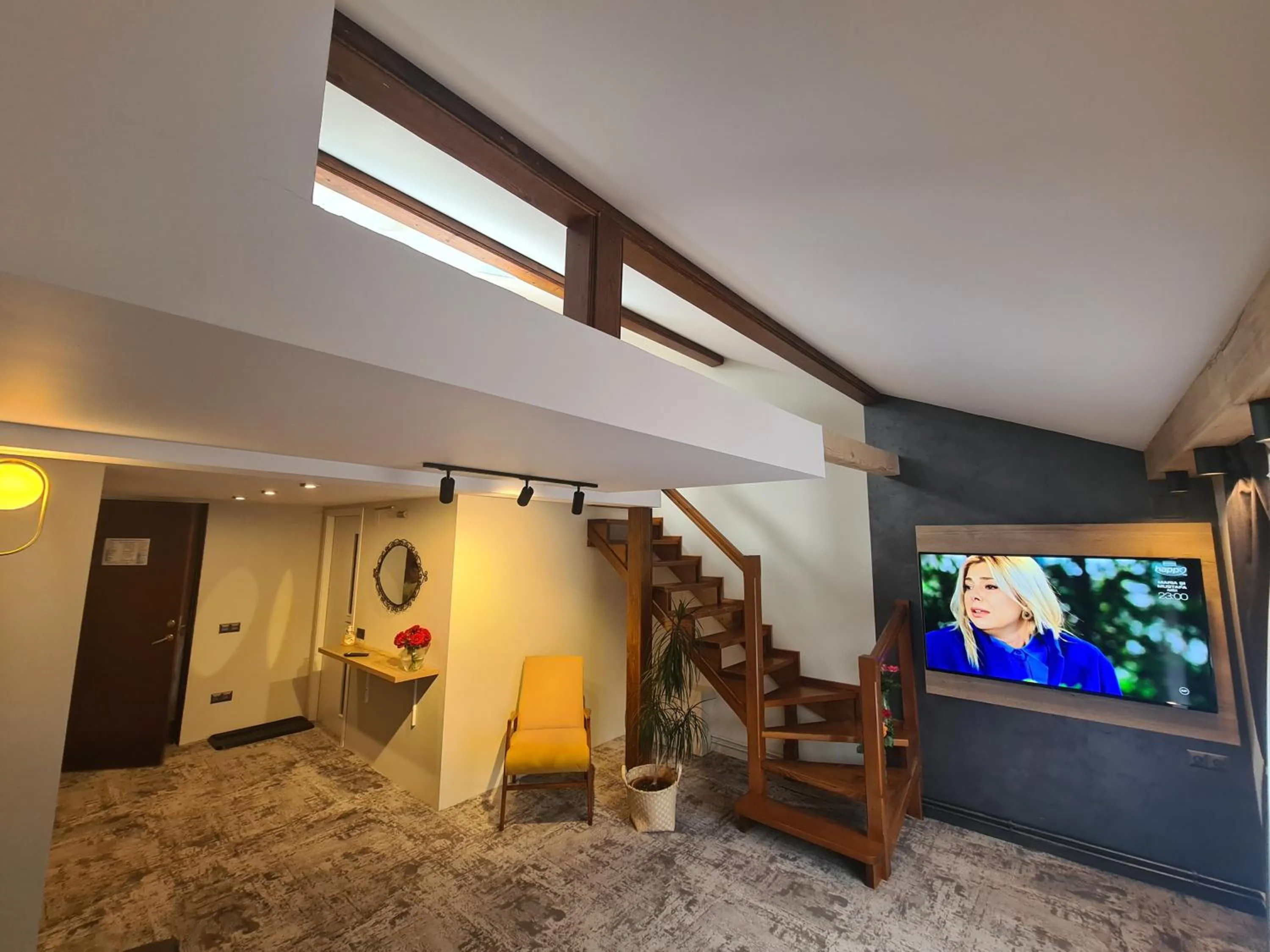 TV and multimedia in CASA FLORESCU