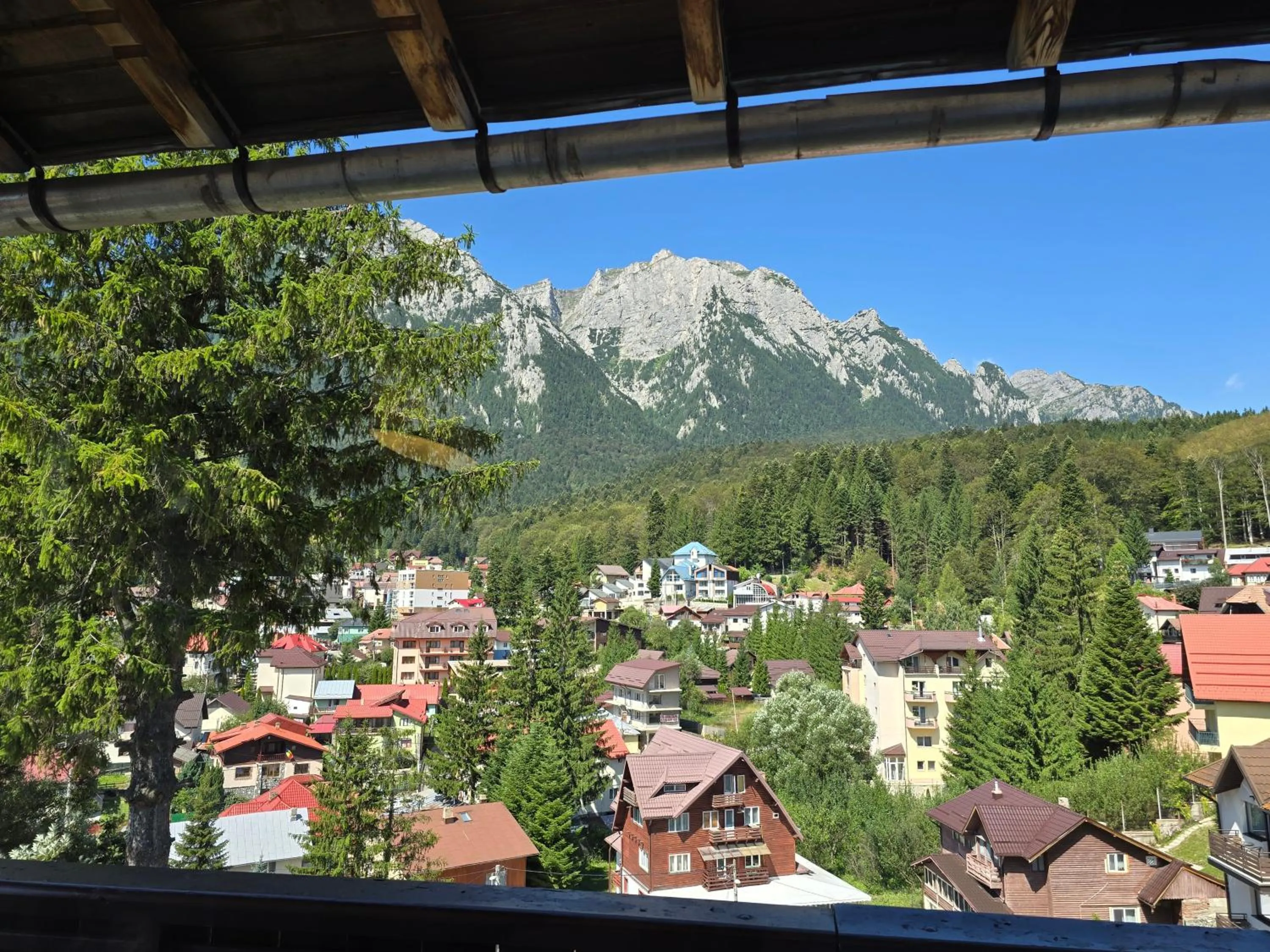 Natural landscape in CASA FLORESCU