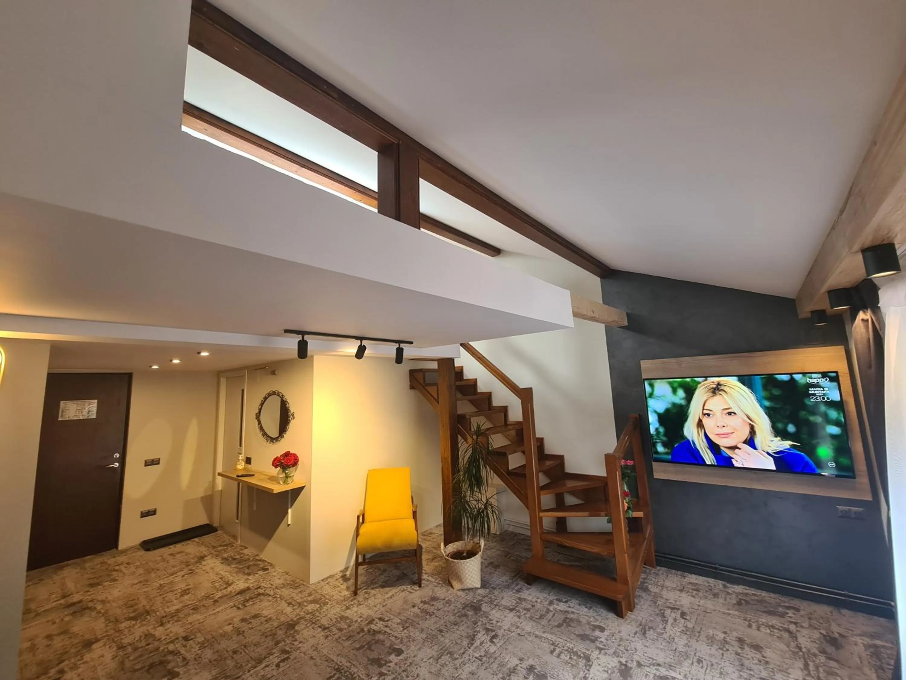 TV and multimedia in CASA FLORESCU