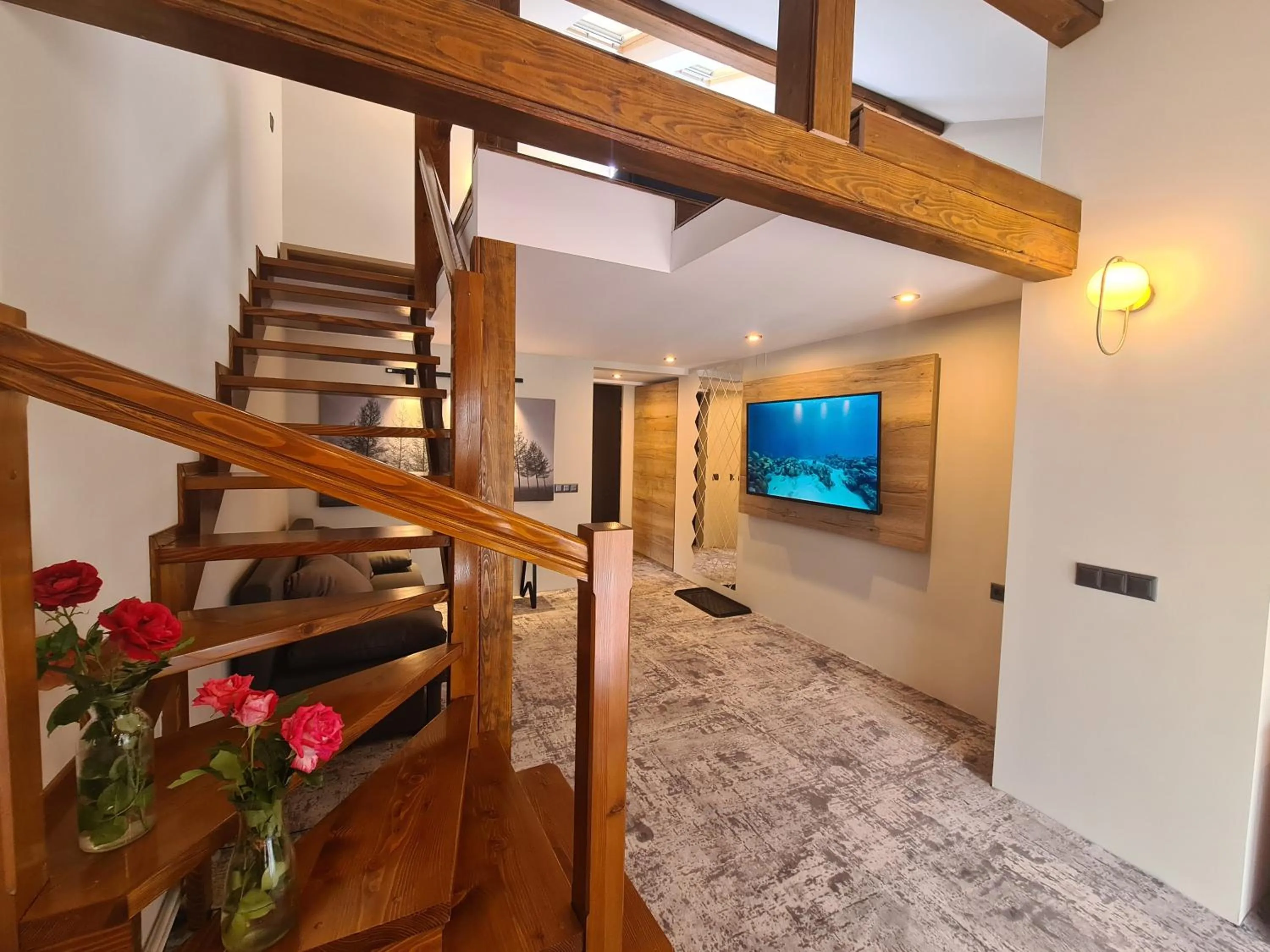 TV and multimedia in CASA FLORESCU