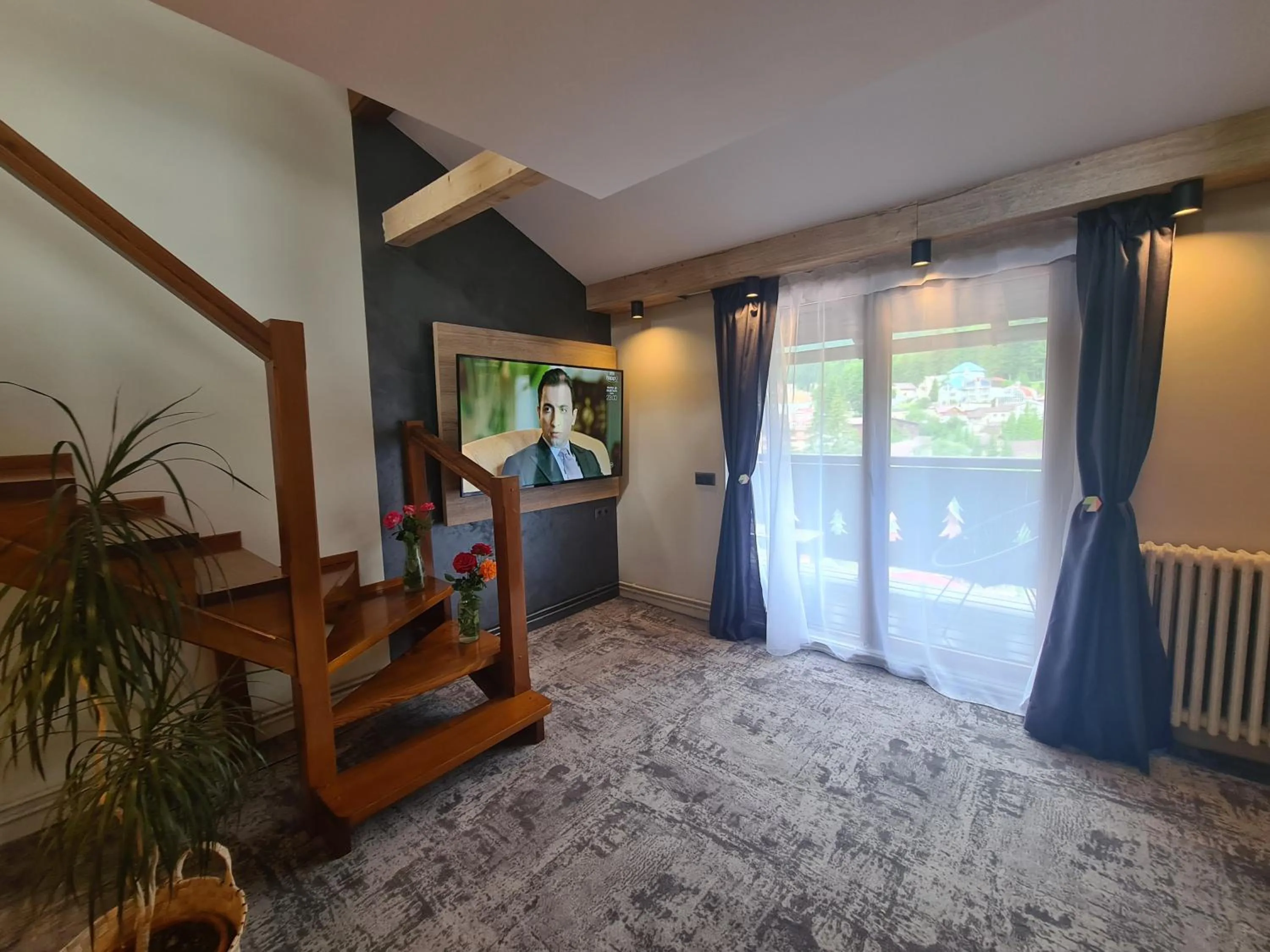 TV and multimedia in CASA FLORESCU