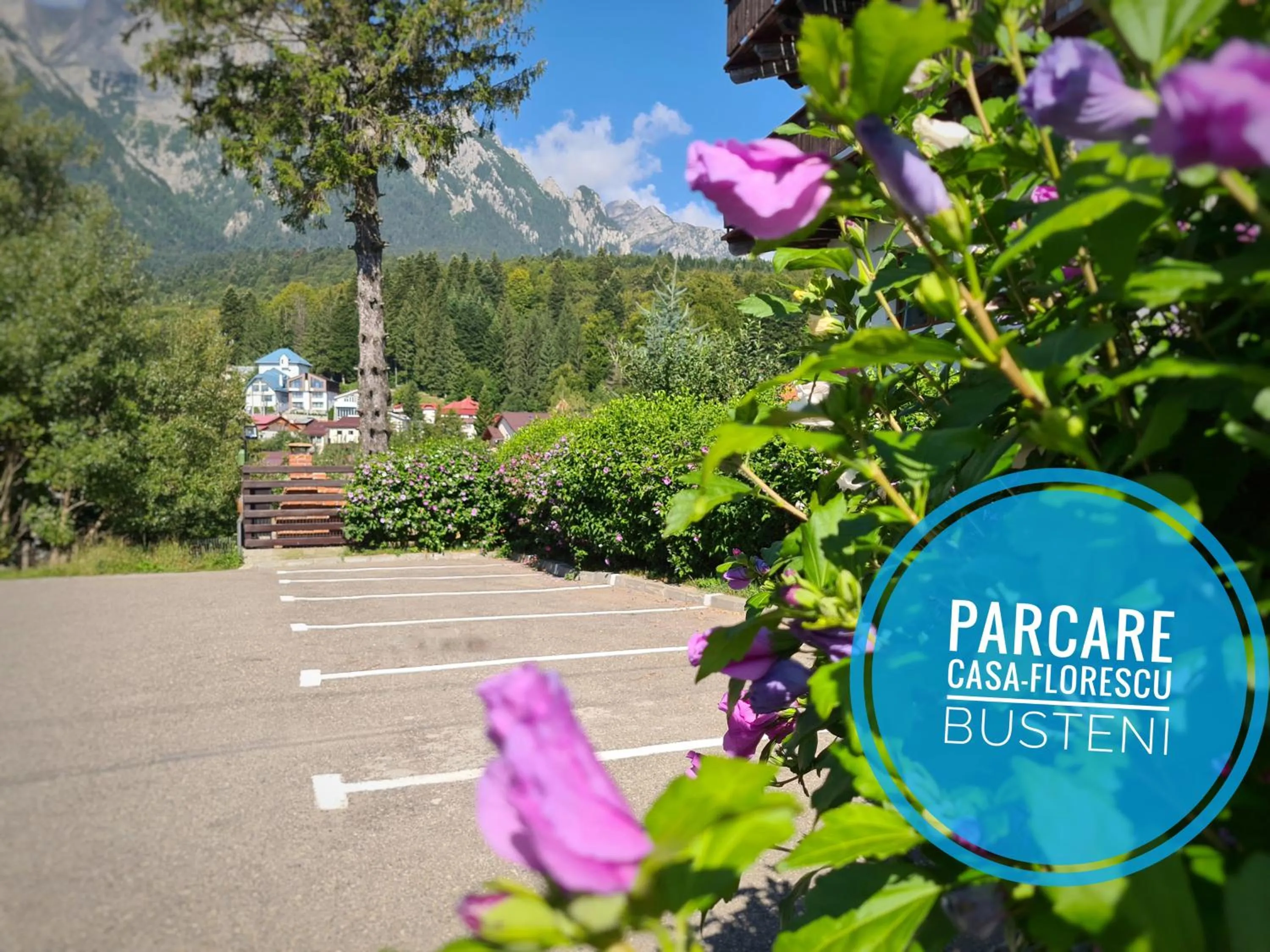 Parking in CASA FLORESCU