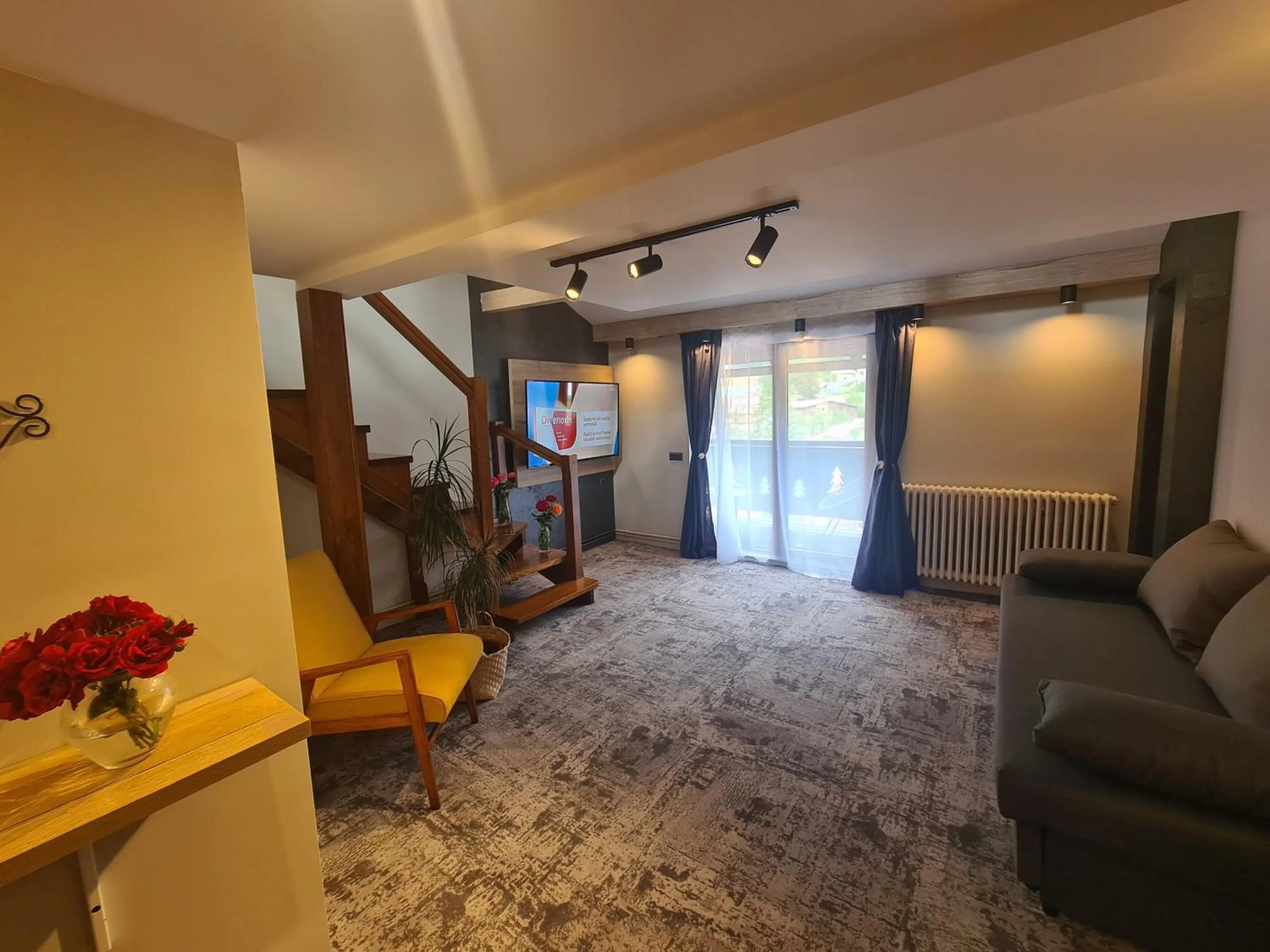 Living room in CASA FLORESCU