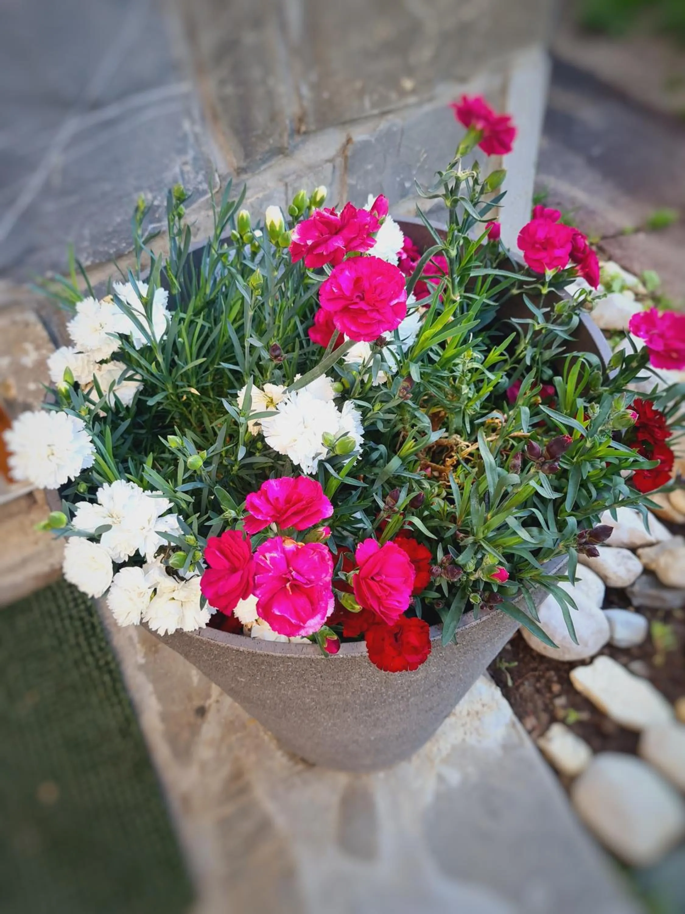 Patio in CASA FLORESCU