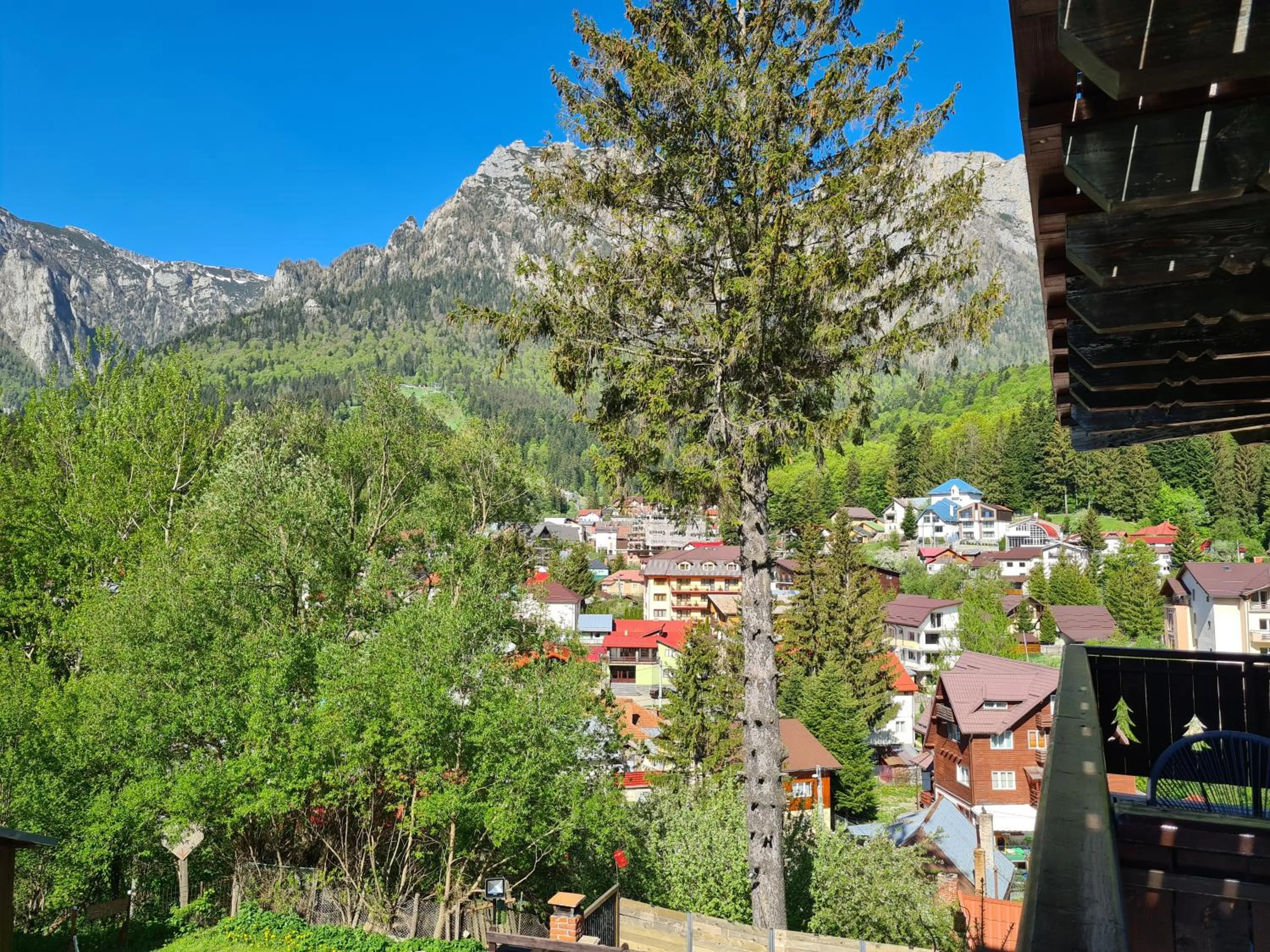 Natural landscape in CASA FLORESCU