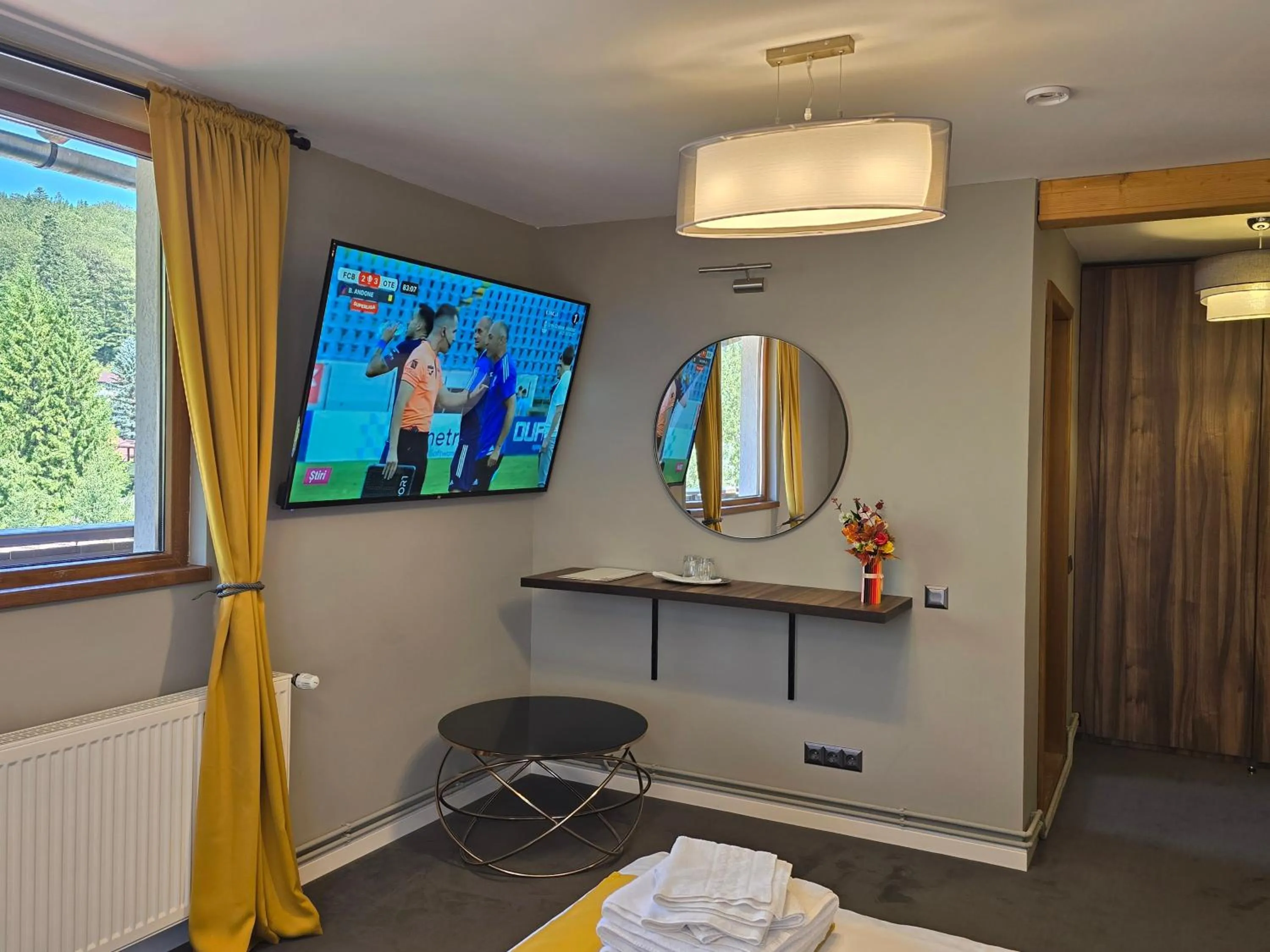 TV and multimedia in CASA FLORESCU