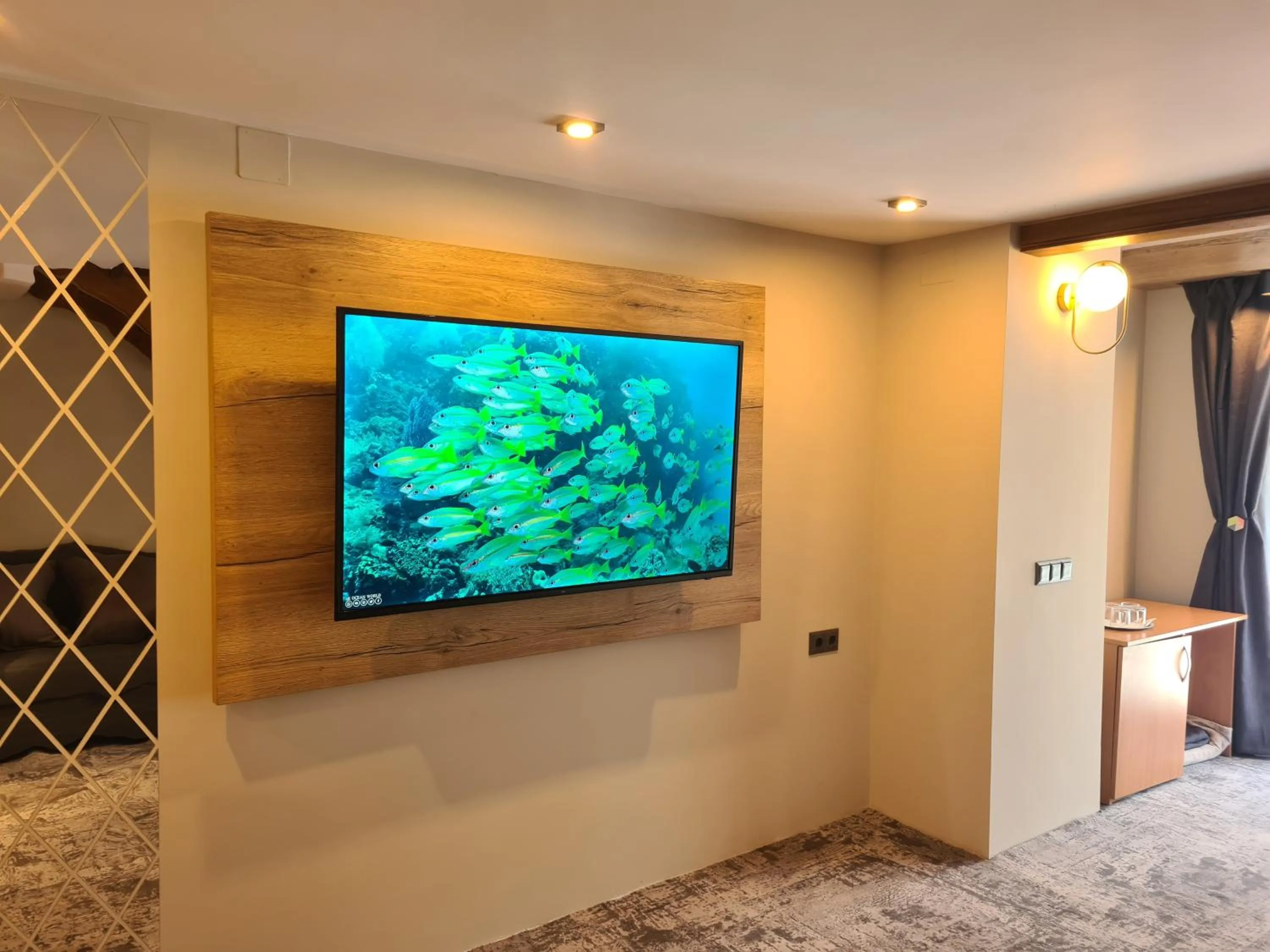 TV and multimedia in CASA FLORESCU