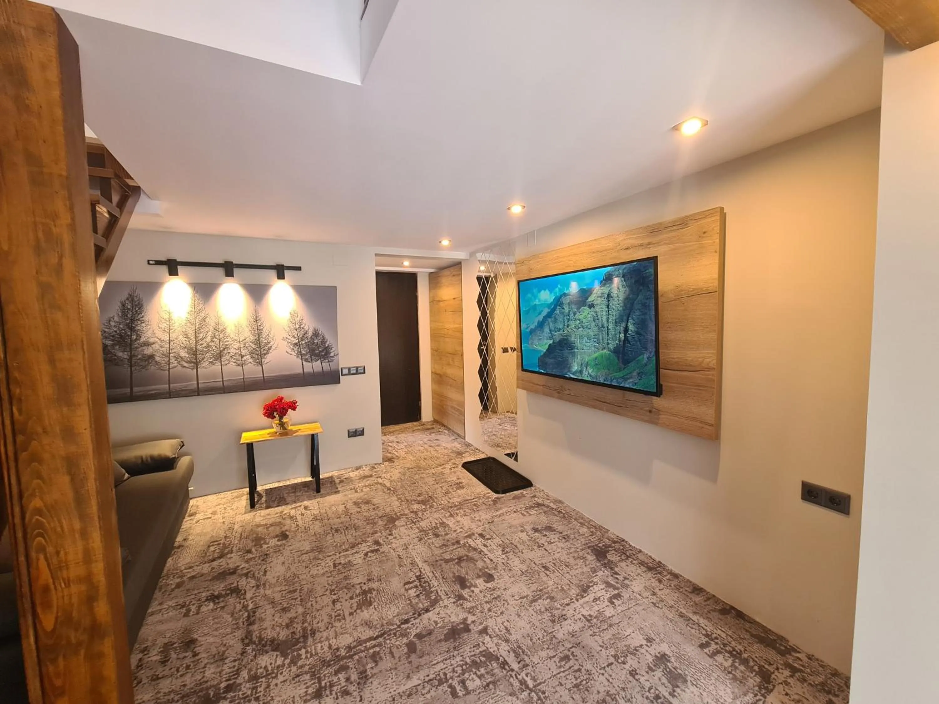 TV and multimedia in CASA FLORESCU