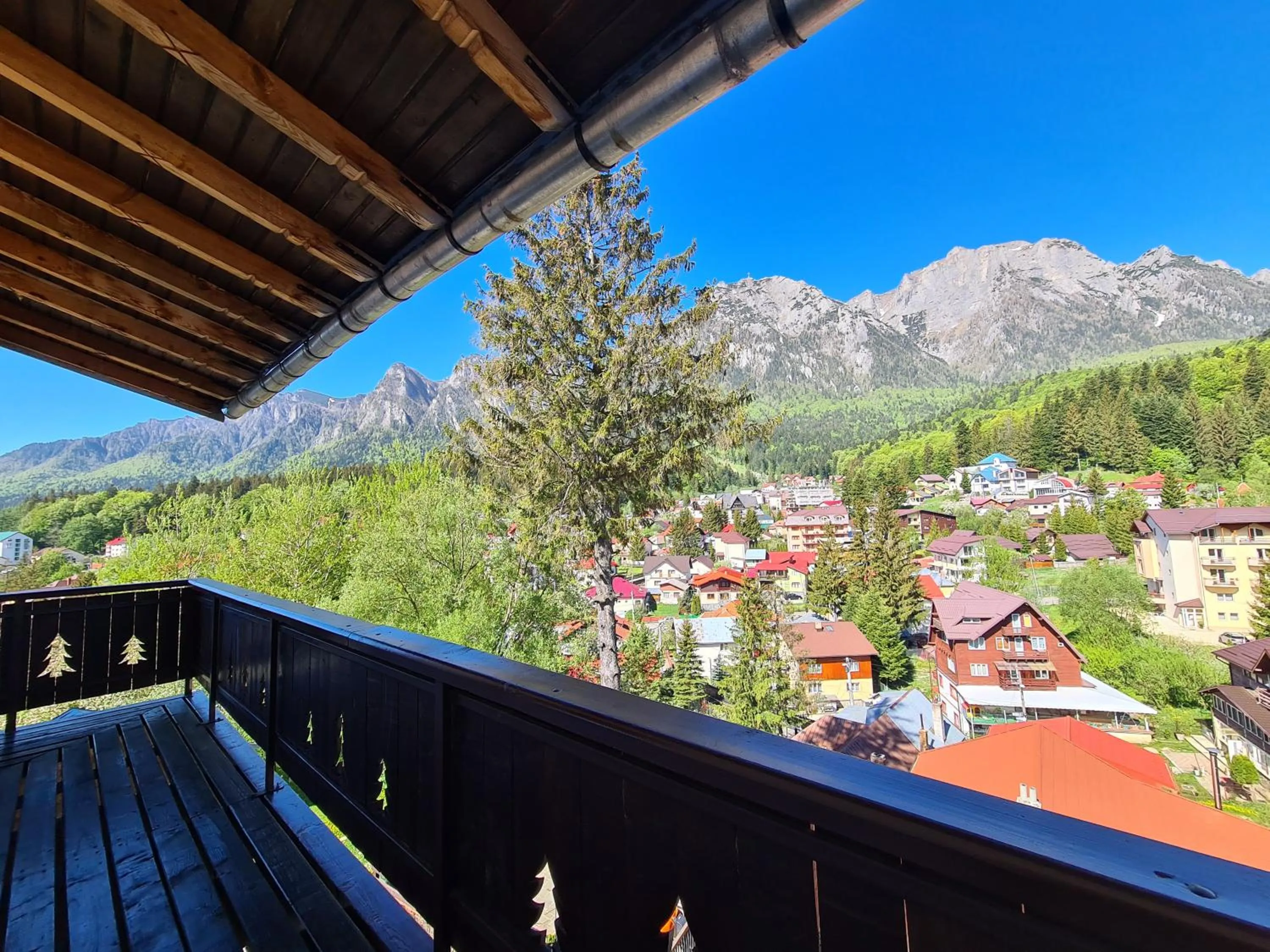 Balcony/Terrace in CASA FLORESCU