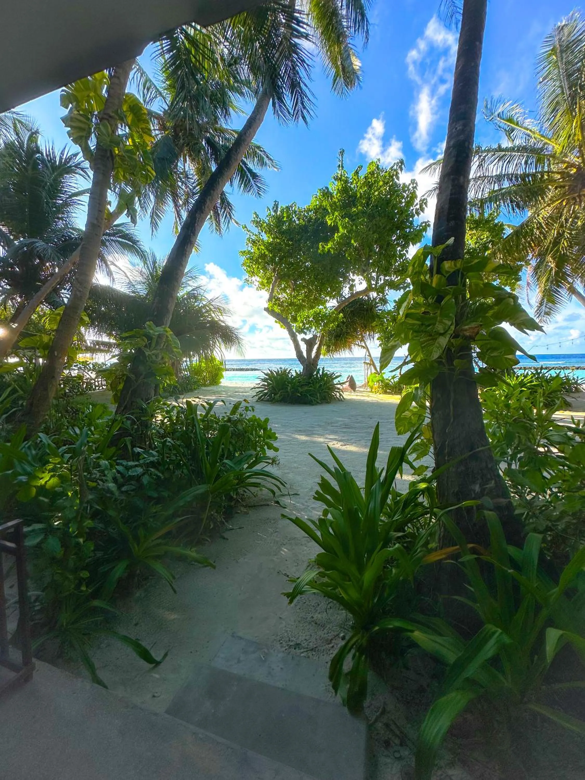 View (from property/room) in Thundi Sea View